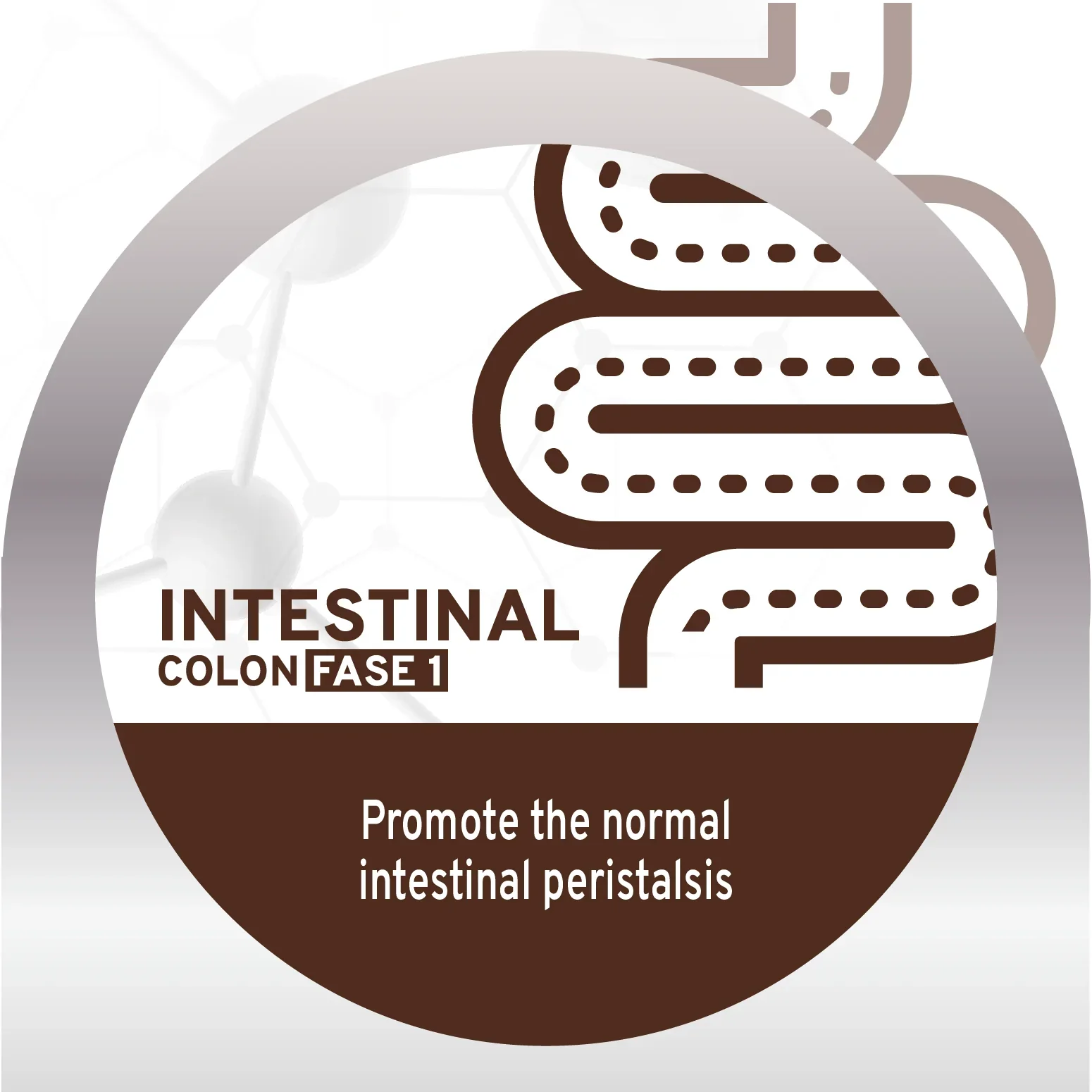 Forza10 Nutraceutic Active Colon Phase 1 Dry Dog Food - Image 2