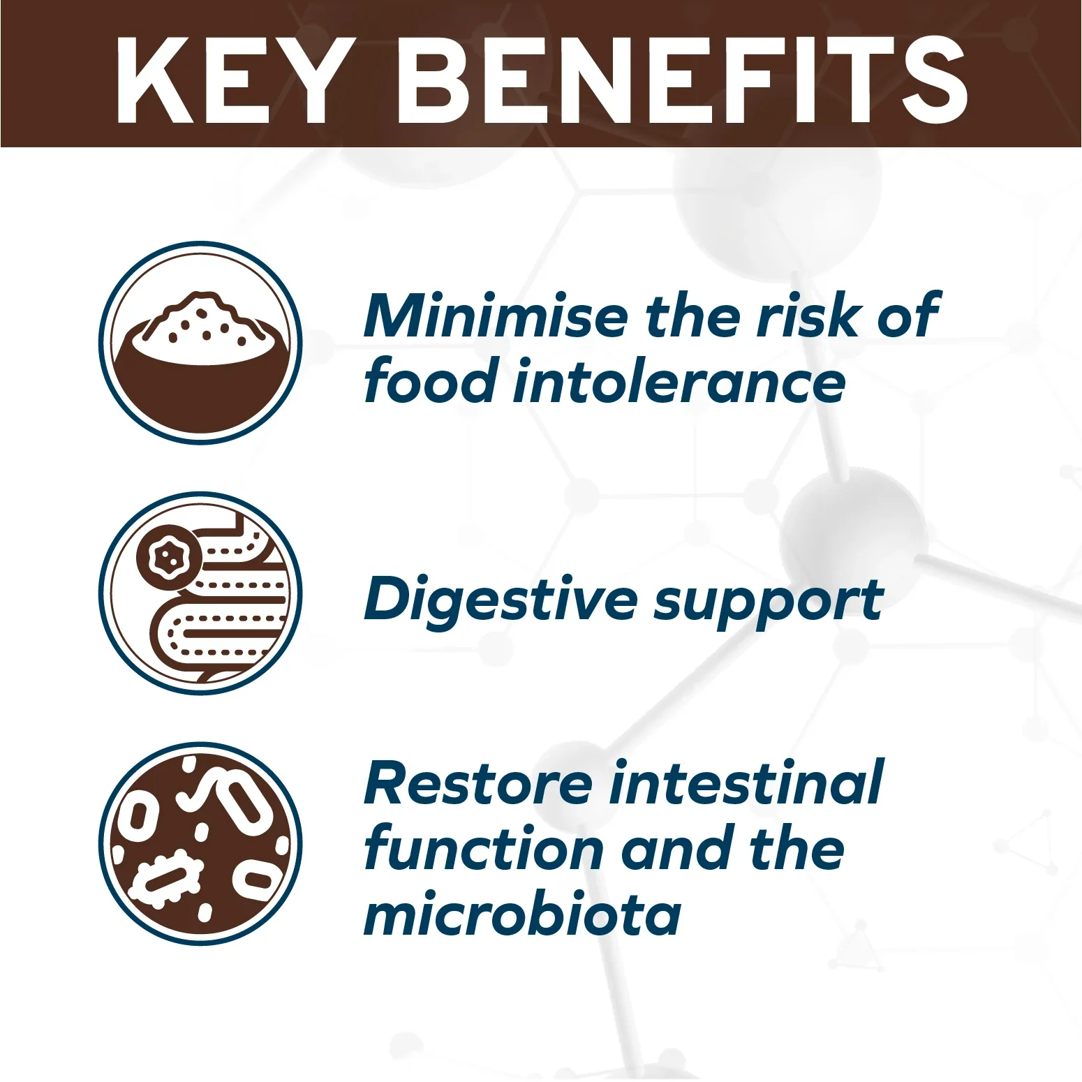 Forza10 Nutraceutic Active Colon Phase 1 Dry Dog Food - Image 3