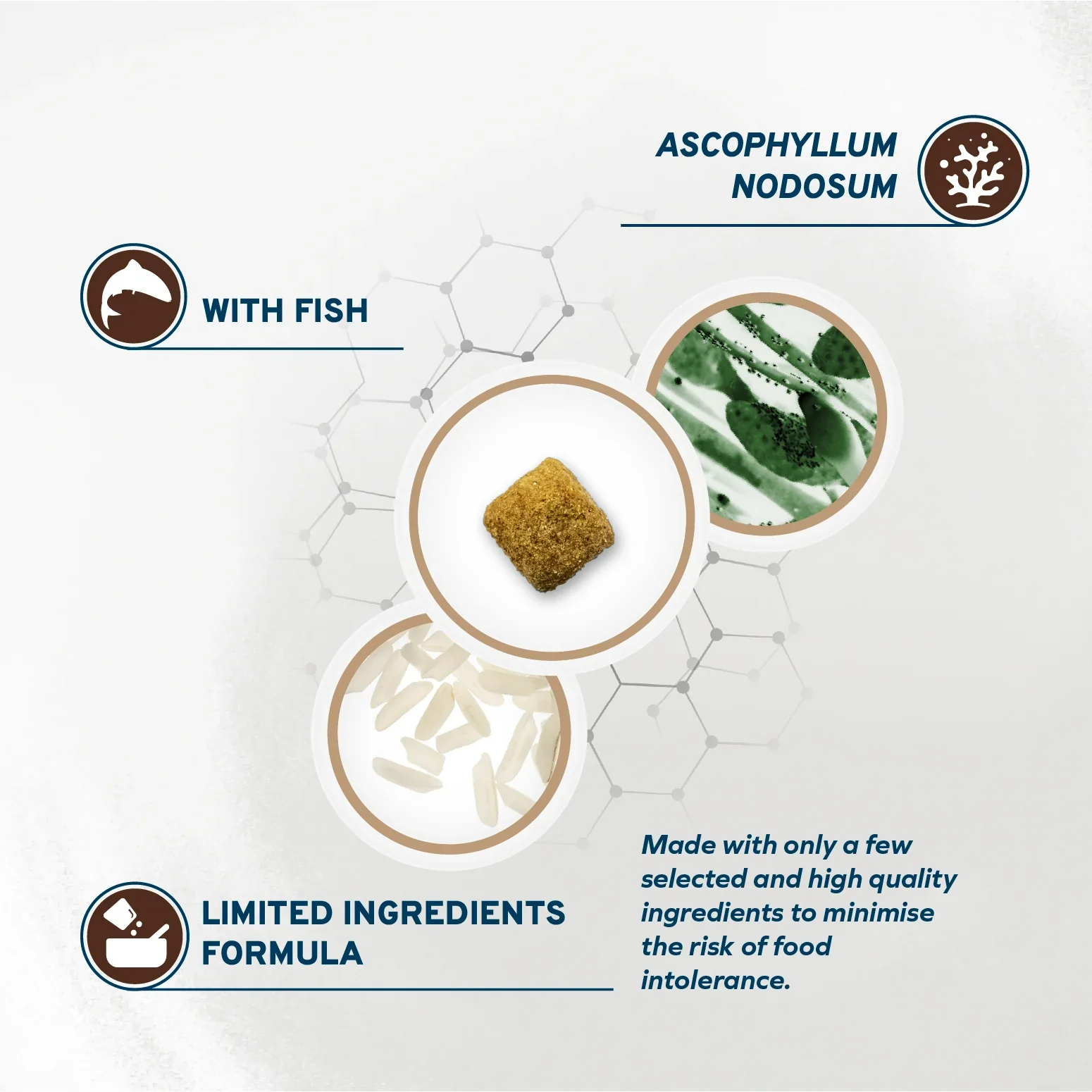 Forza10 Nutraceutic Active Colon Phase 1 Dry Dog Food - Image 5