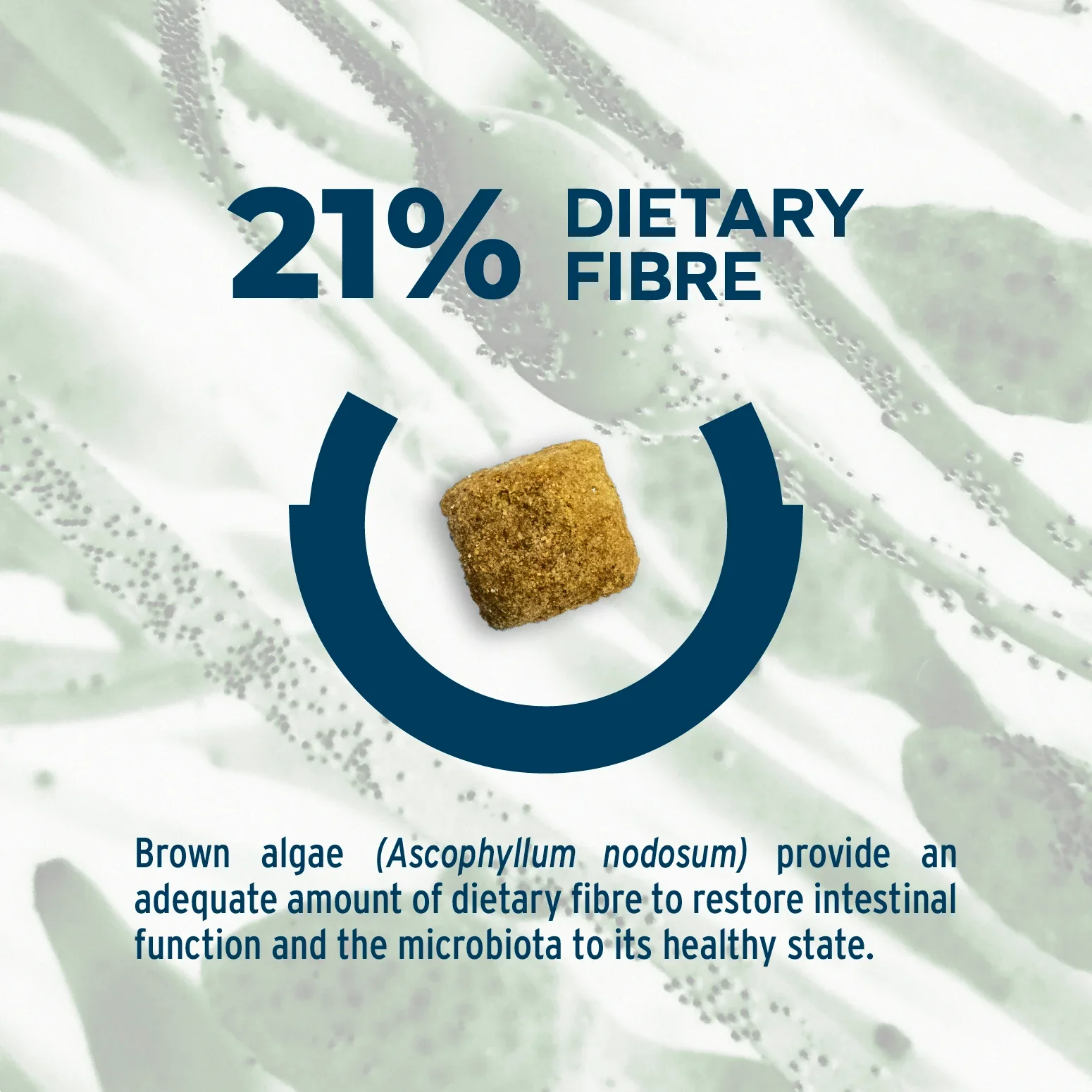 Forza10 Nutraceutic Active Colon Phase 1 Dry Dog Food - Image 6