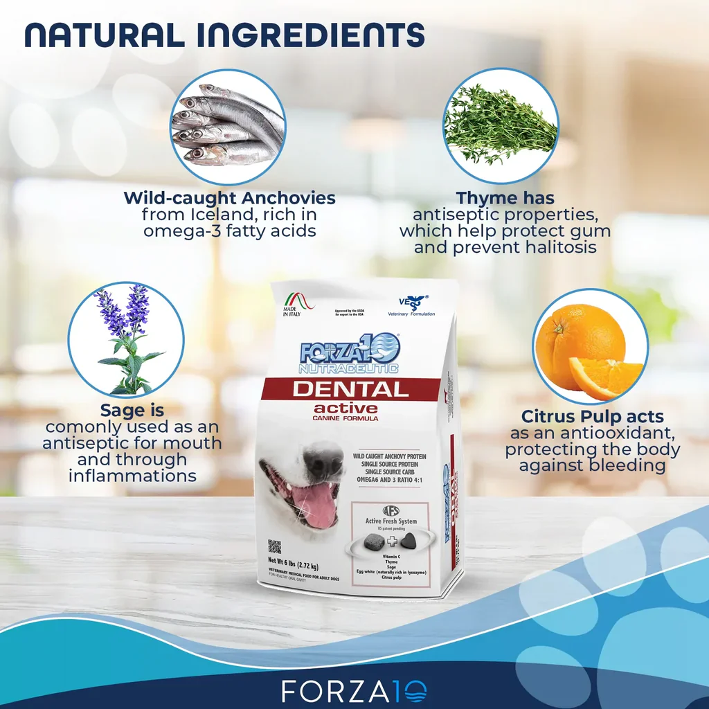 Forza10 Nutraceutic Active Oral Dry Dog Food - Image 2