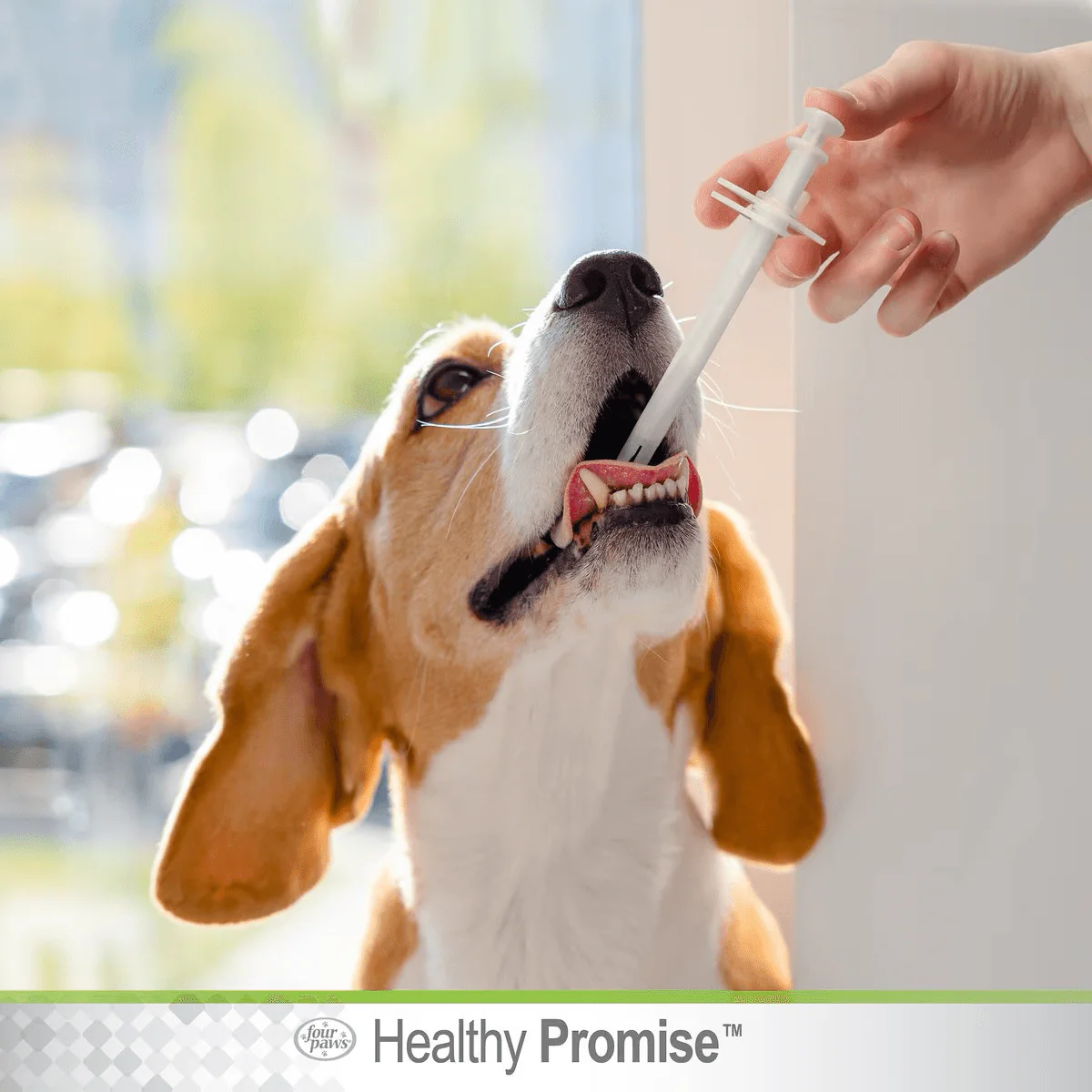 Four Paws Quick & Easy Pill Dispenser - Image 7