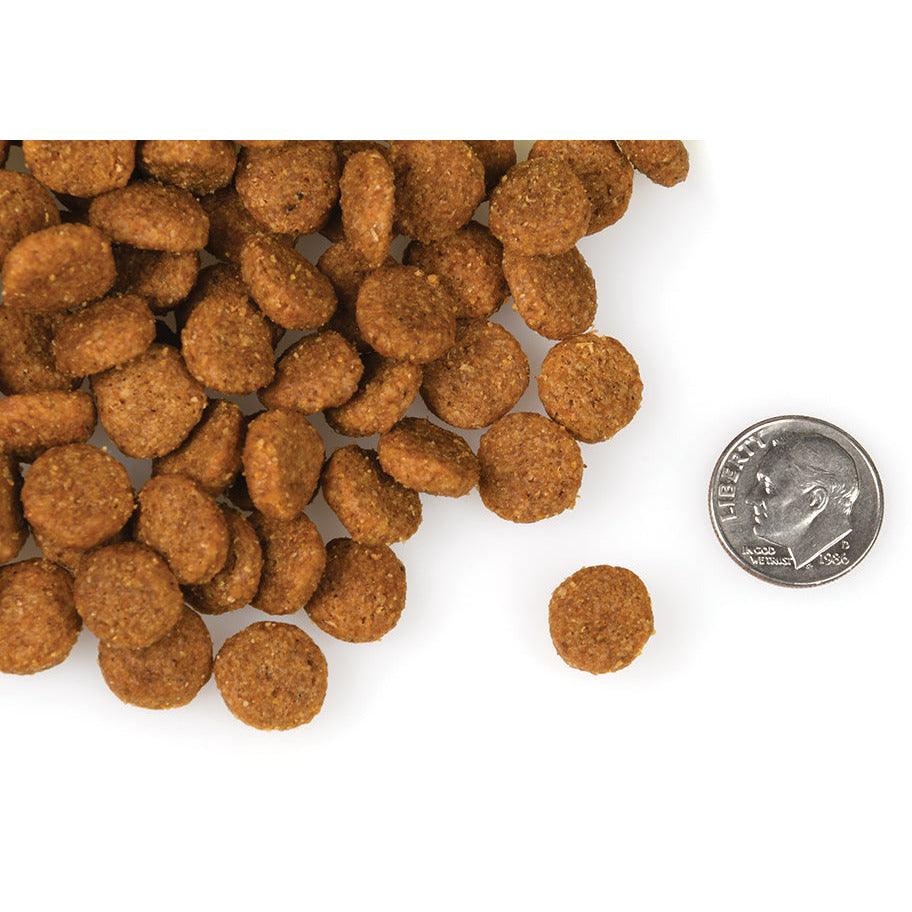 Fromm Four Star Canine Pork & Applesauce - Image 3