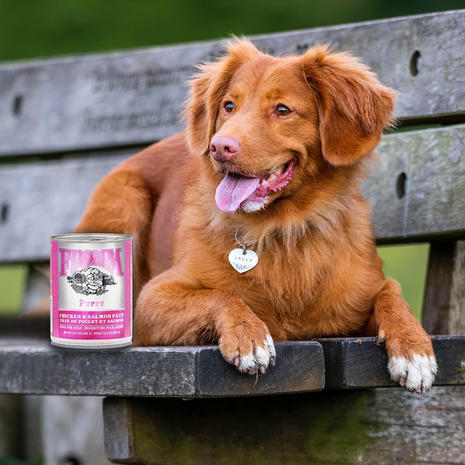 Fromm Canned Dog Food Classic Puppy Chicken and Salmon - Image 8