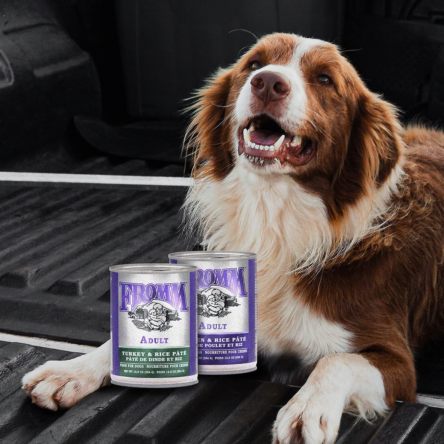 Fromm Canned Dog Food Classic Turkey and Rice - Image 4