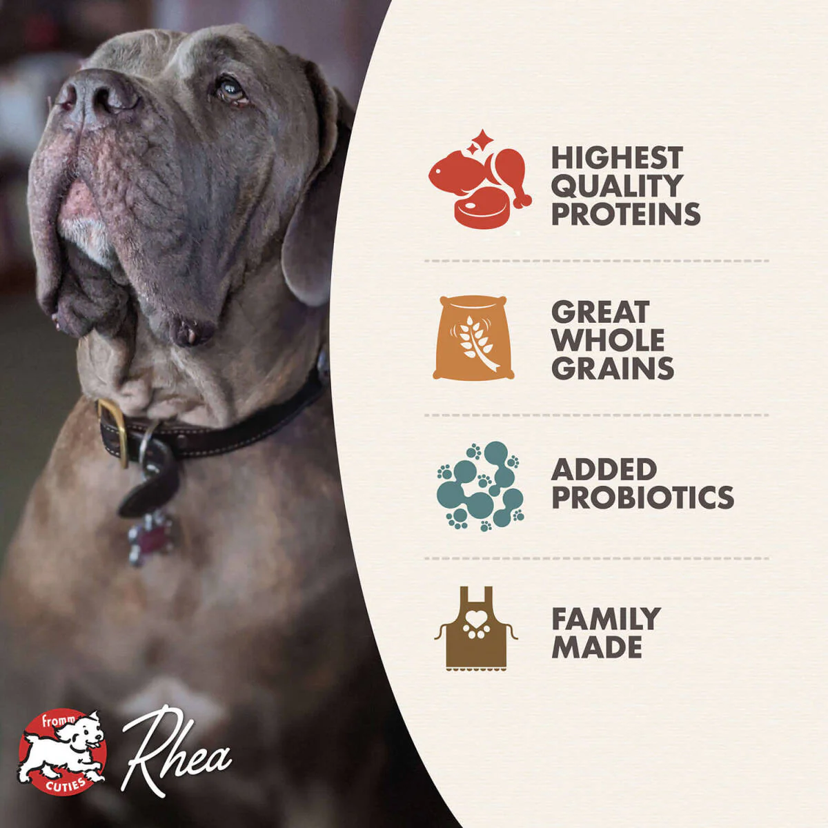 Fromm Classic Adult Large & Giant Breed Dog Food - Image 2