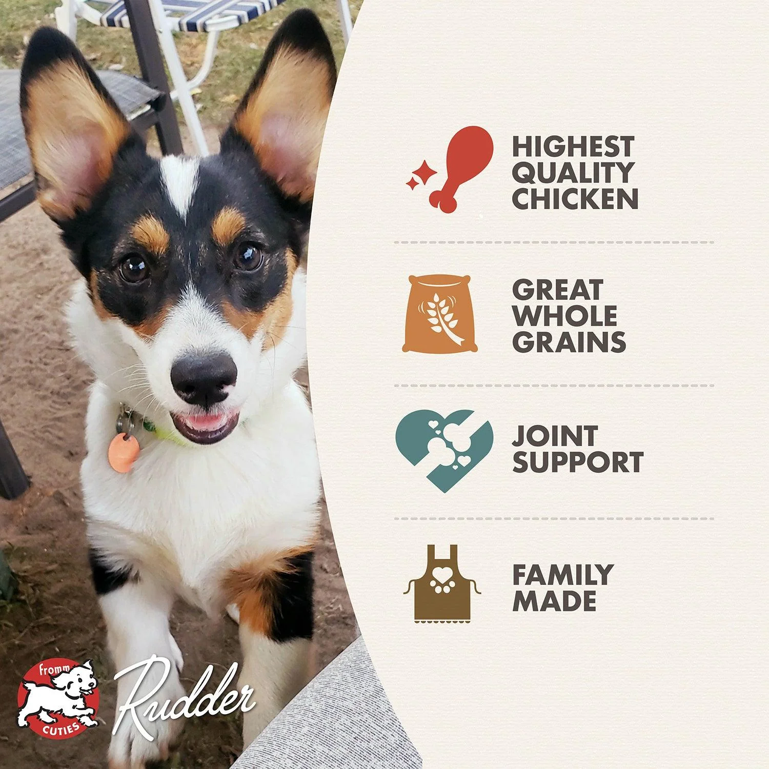 Fromm Classic Puppy Food - Image 4