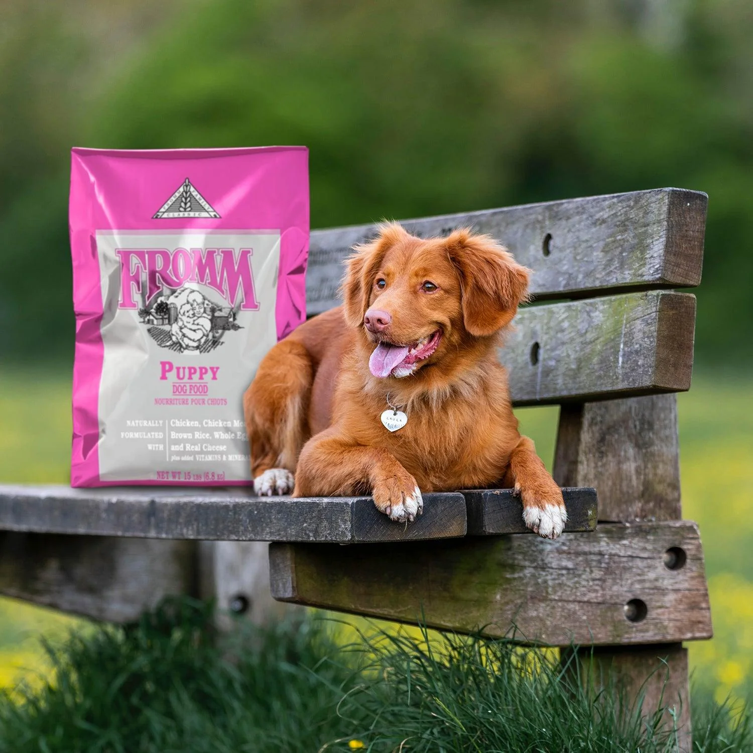 Fromm Classic Puppy Food - Image 7
