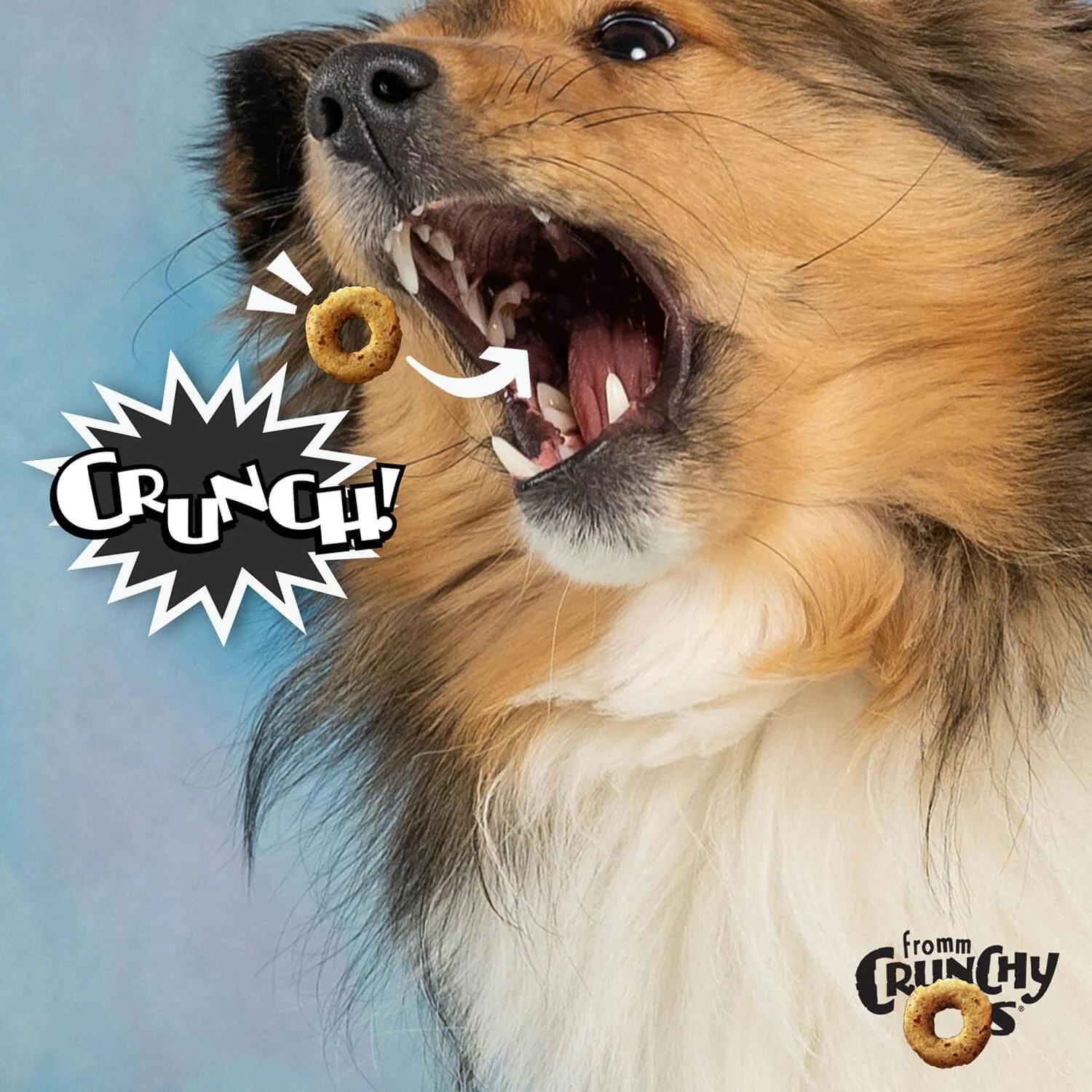 Fromm Crunchy O's Bacon Blasters Dog Treats - Image 3