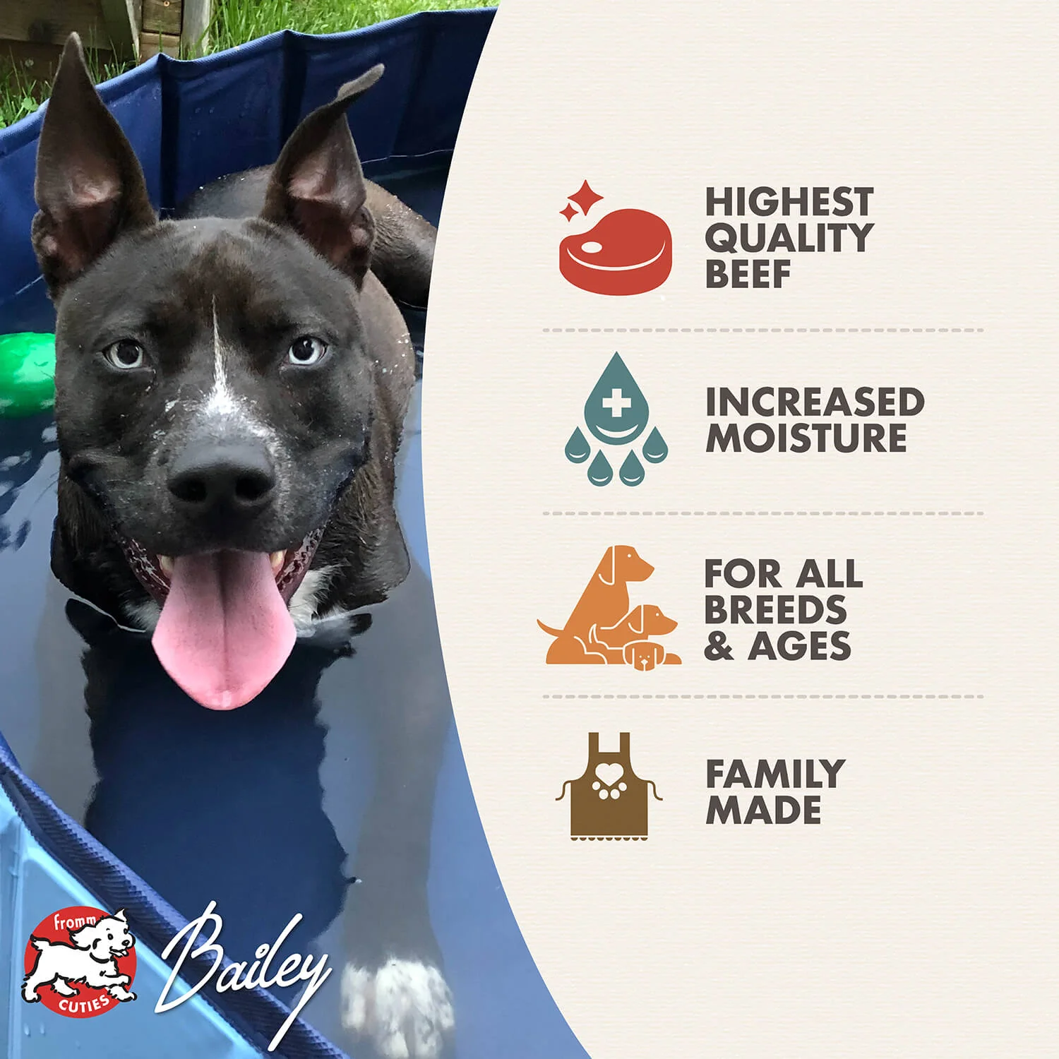Fromm Four Star Dog Shredded Beef In Gravy - Image 3