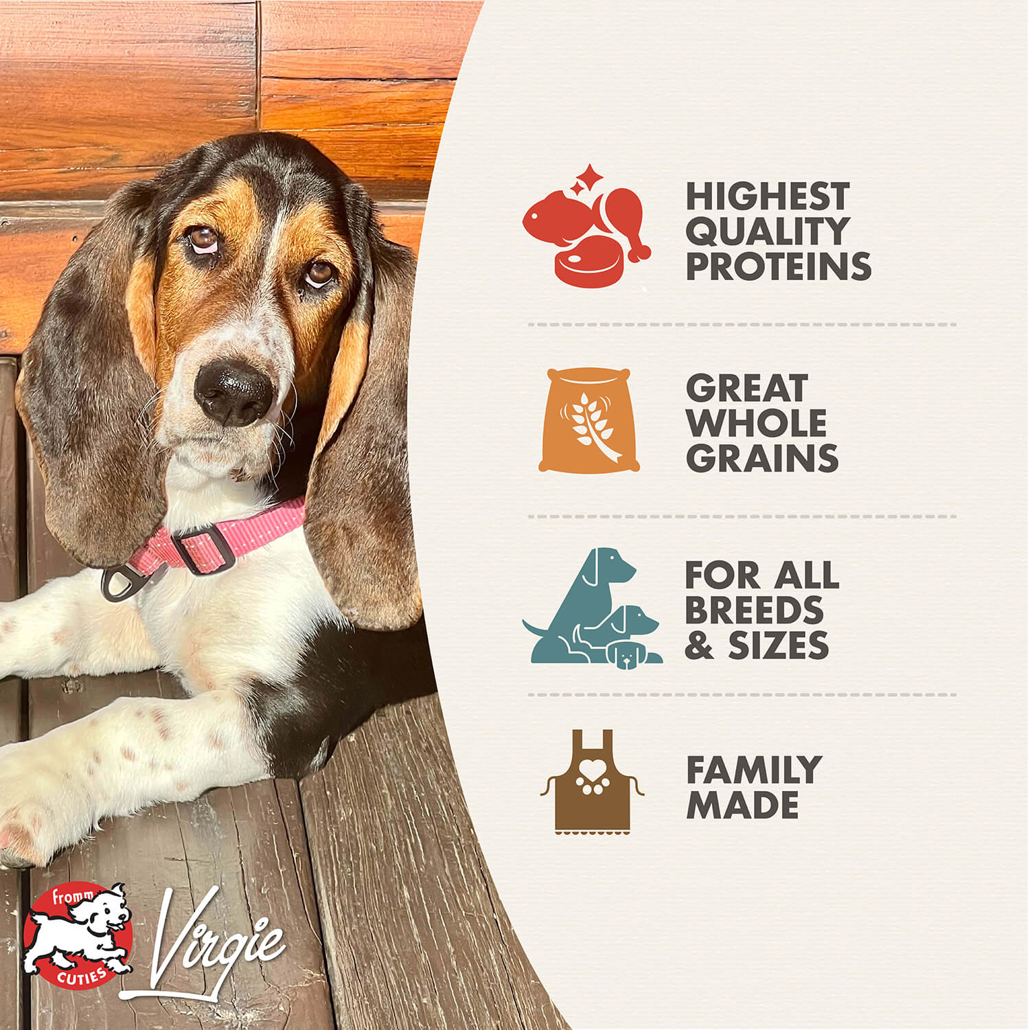 Fromm Gold Adult Dog Food - Image 3