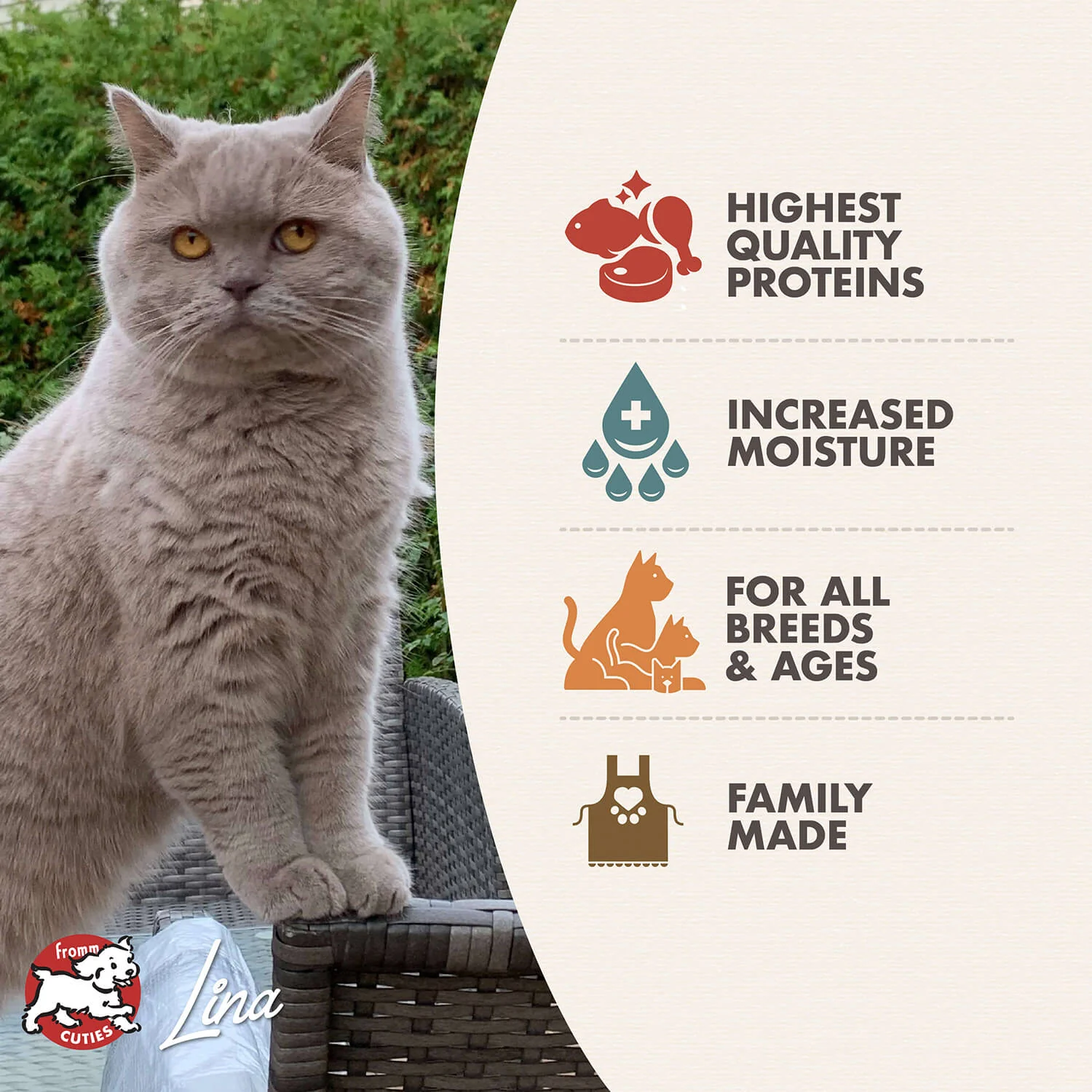 Fromm Gold Adult Chicken, Duck, & Salmon Pate Wet Cat Food - Image 3