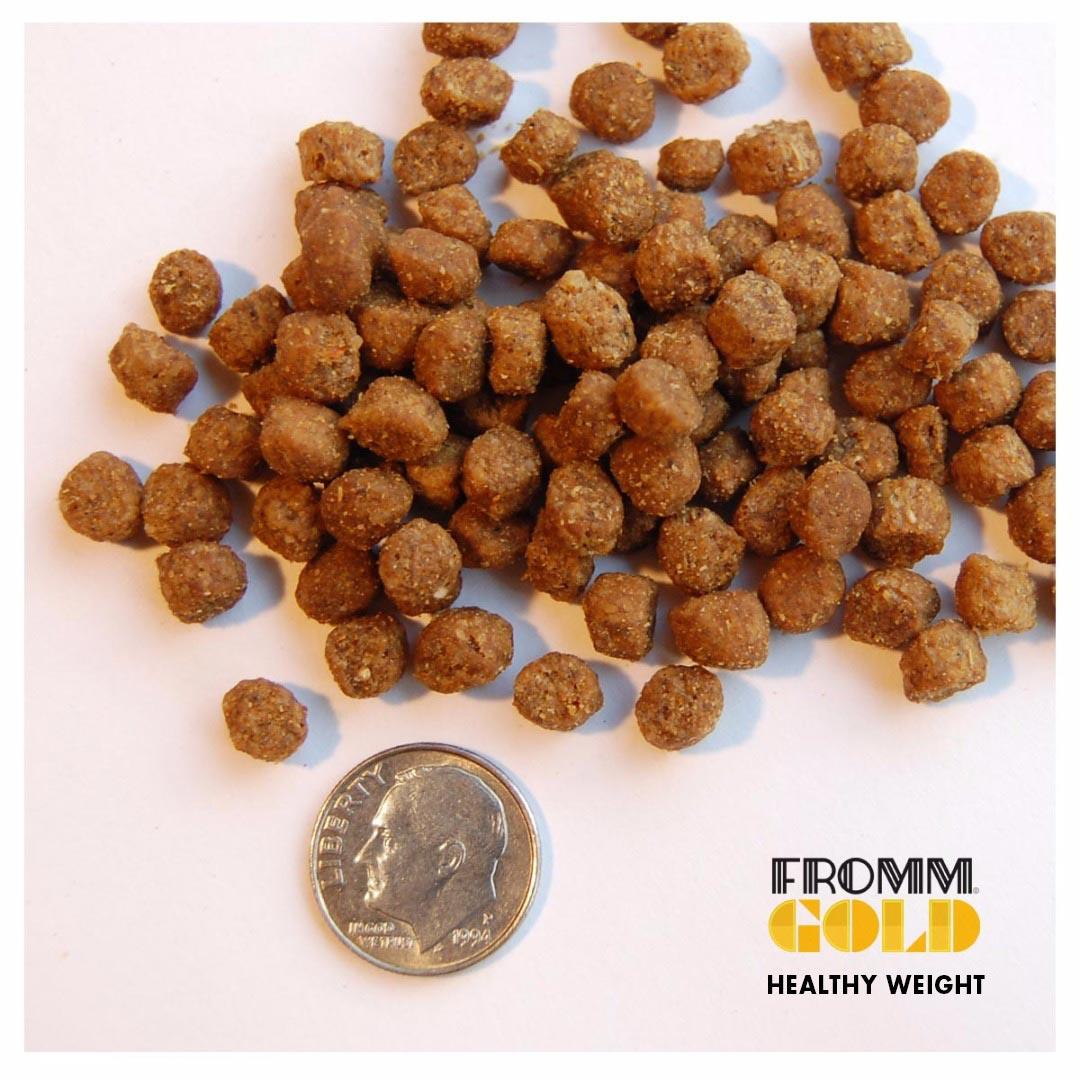 Fromm Gold Healthy Weight Adult Cat Food - Image 2