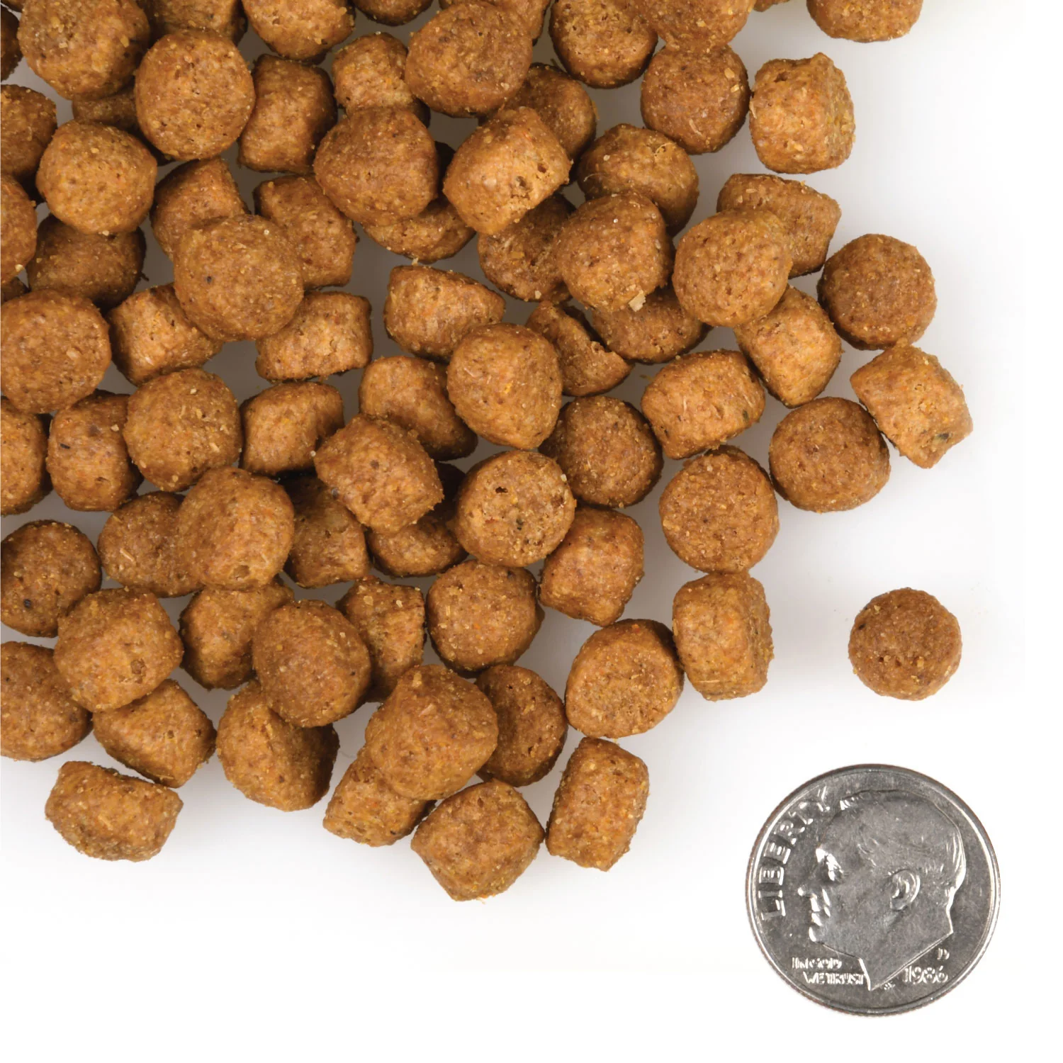 Fromm Gold Large Breed Puppy Food - Image 3