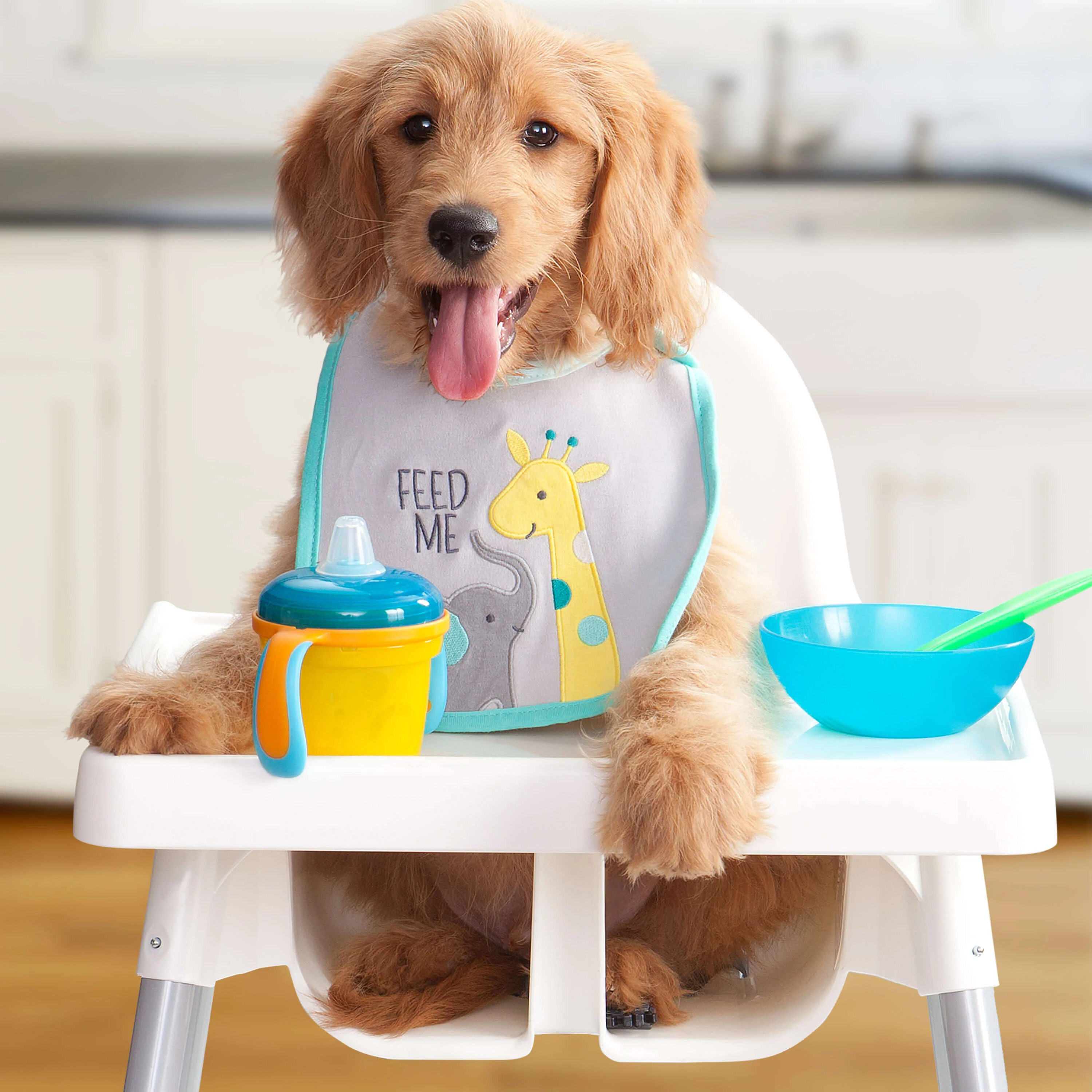 Fromm Gold Large Breed Puppy Food - Image 8