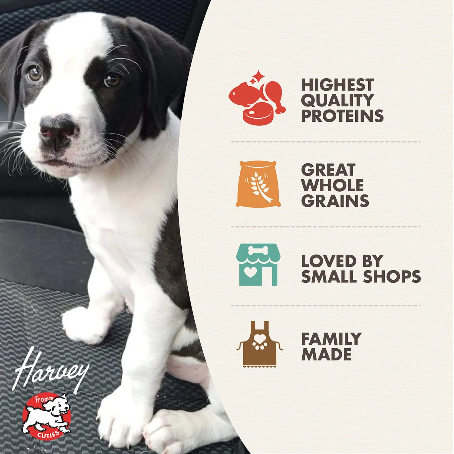 Fromm Gold Puppy Dry Dog Food - Image 3