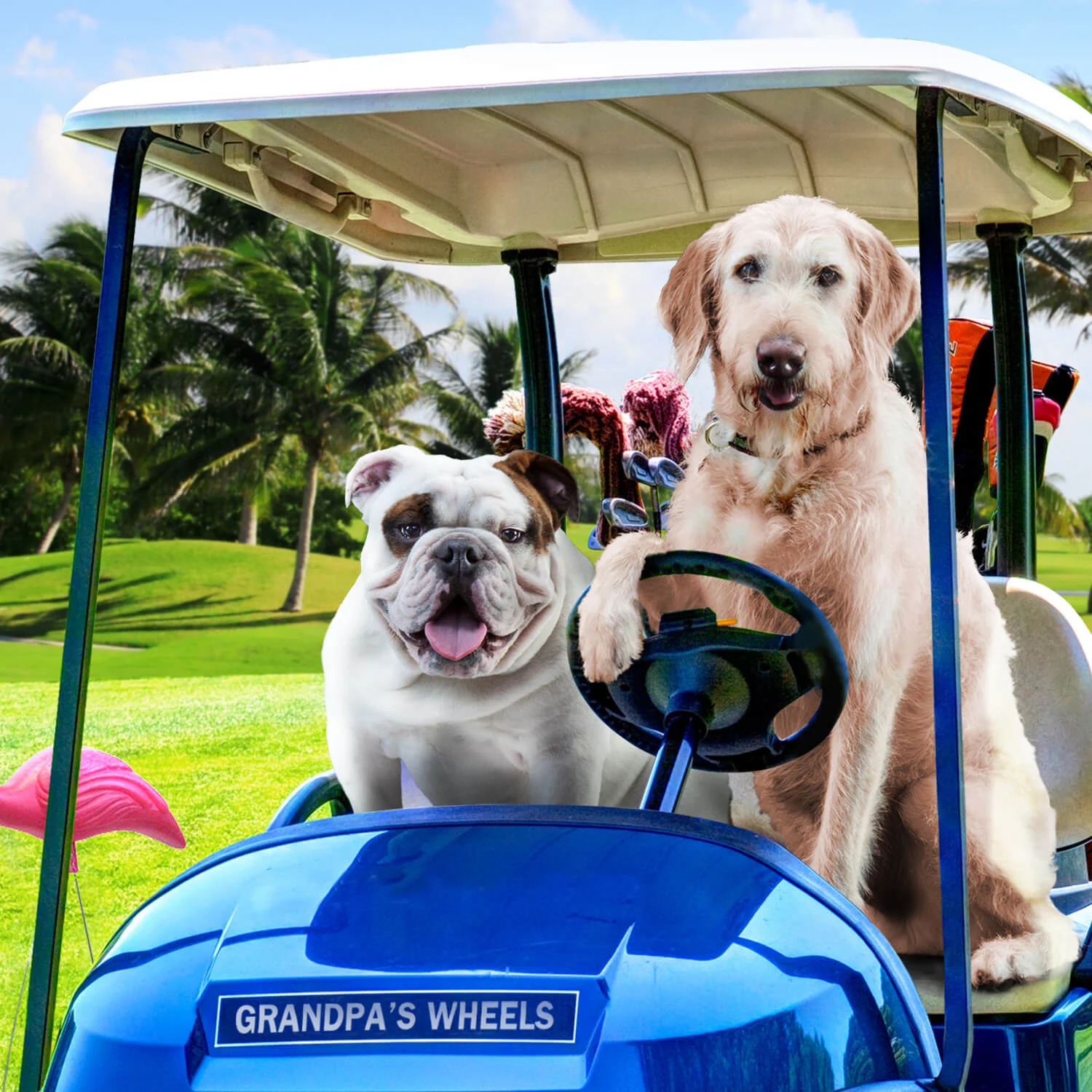 Fromm Gold Reduced Activity & Senior Dog Food - Image 7