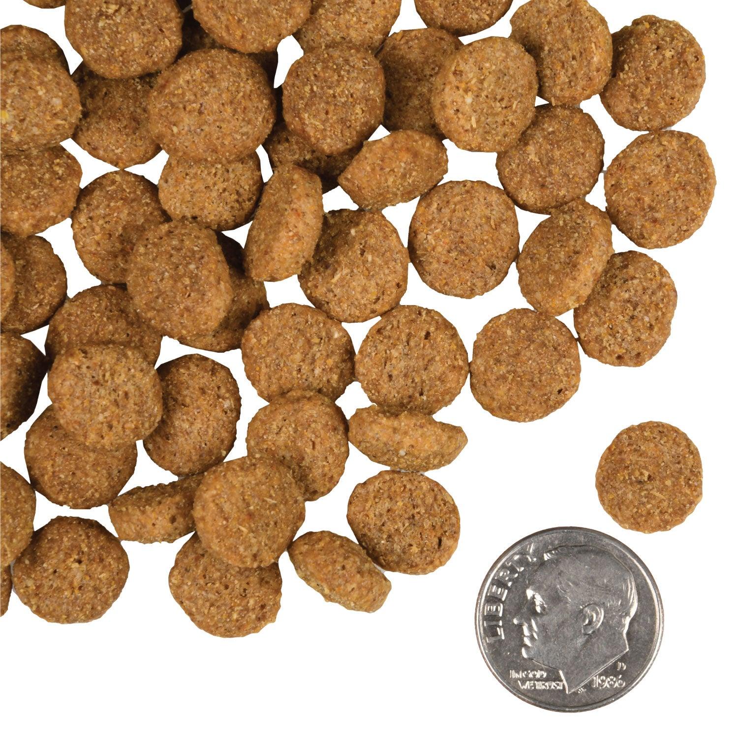 Fromm Gold Weight Management Dog Food - Image 4