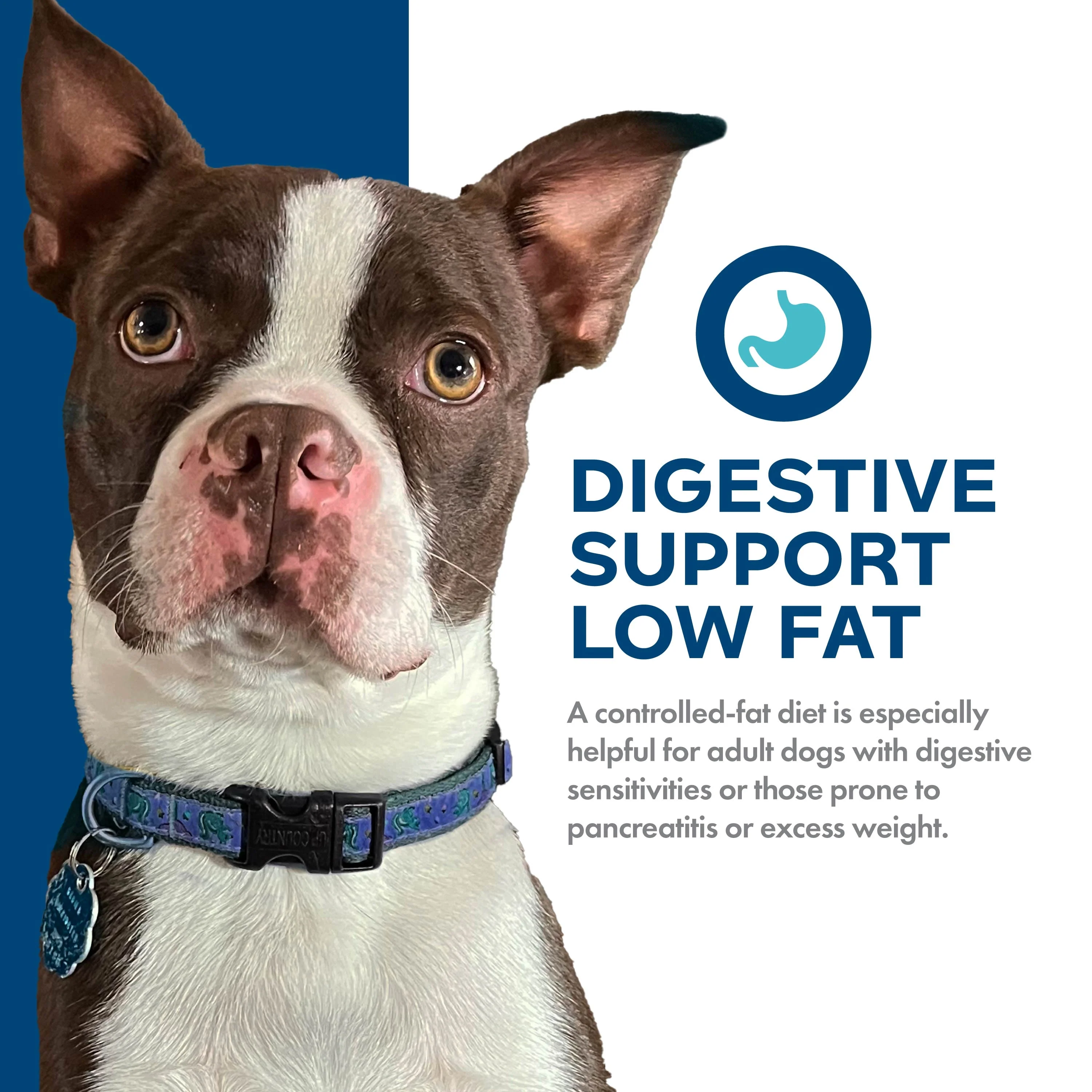 Fromm Nutritionals Digestive Support Low Fat Chicken & Oatmeal Dry Dog Food - Image 2