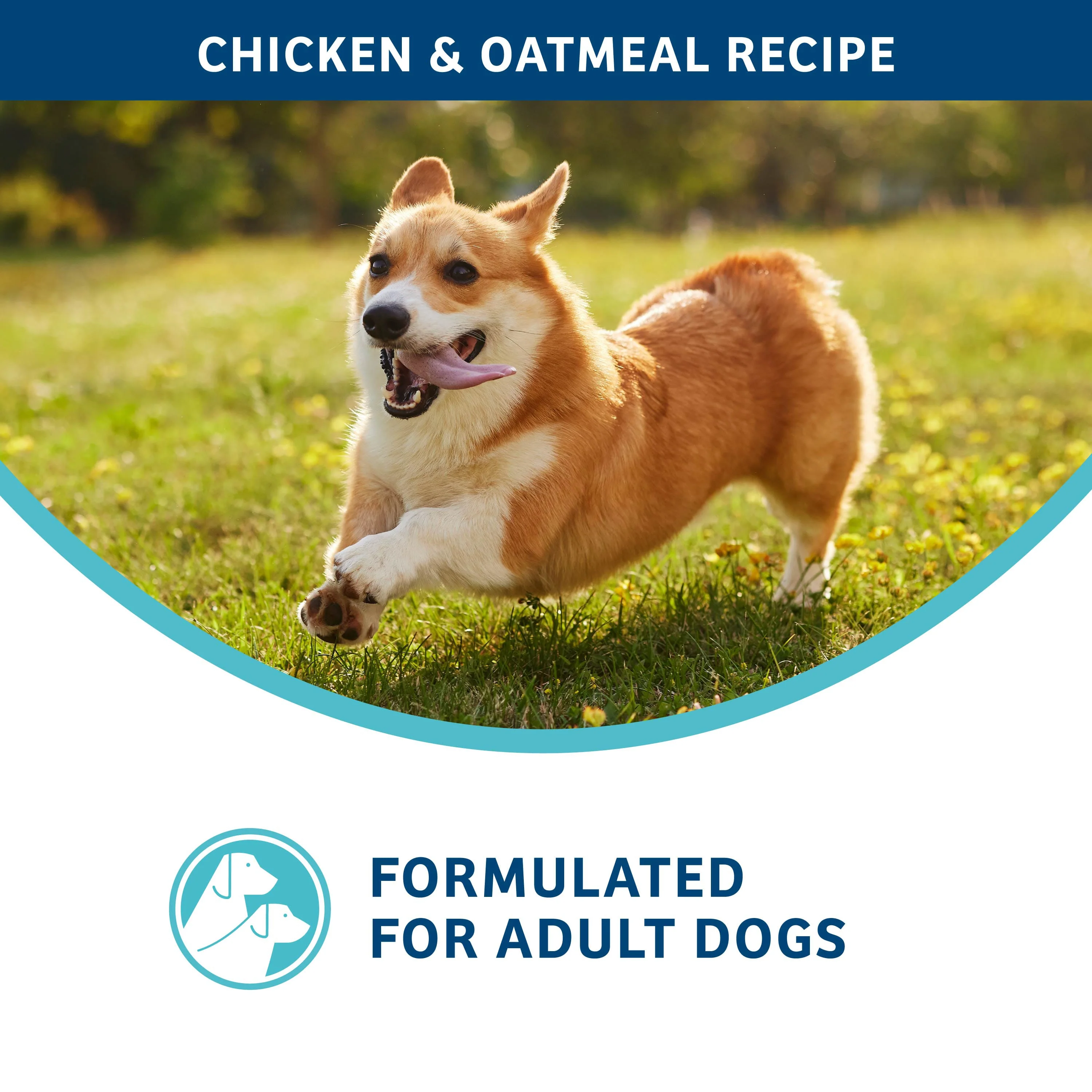 Fromm Nutritionals Digestive Support Low Fat Chicken & Oatmeal Dry Dog Food - Image 5