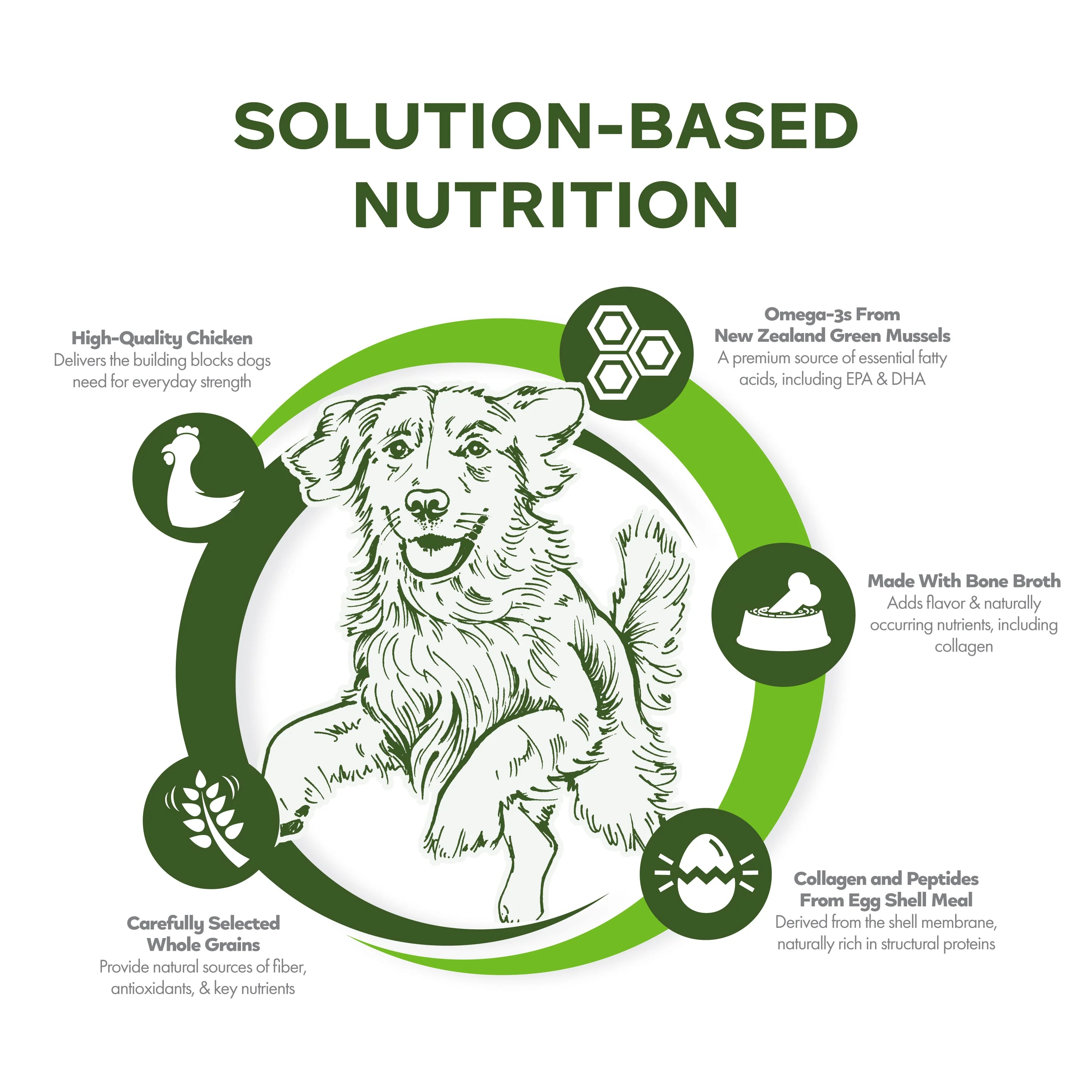 Fromm Nutritionals Mobility Chicken & Whole Oats Dry Dog Food - Image 3