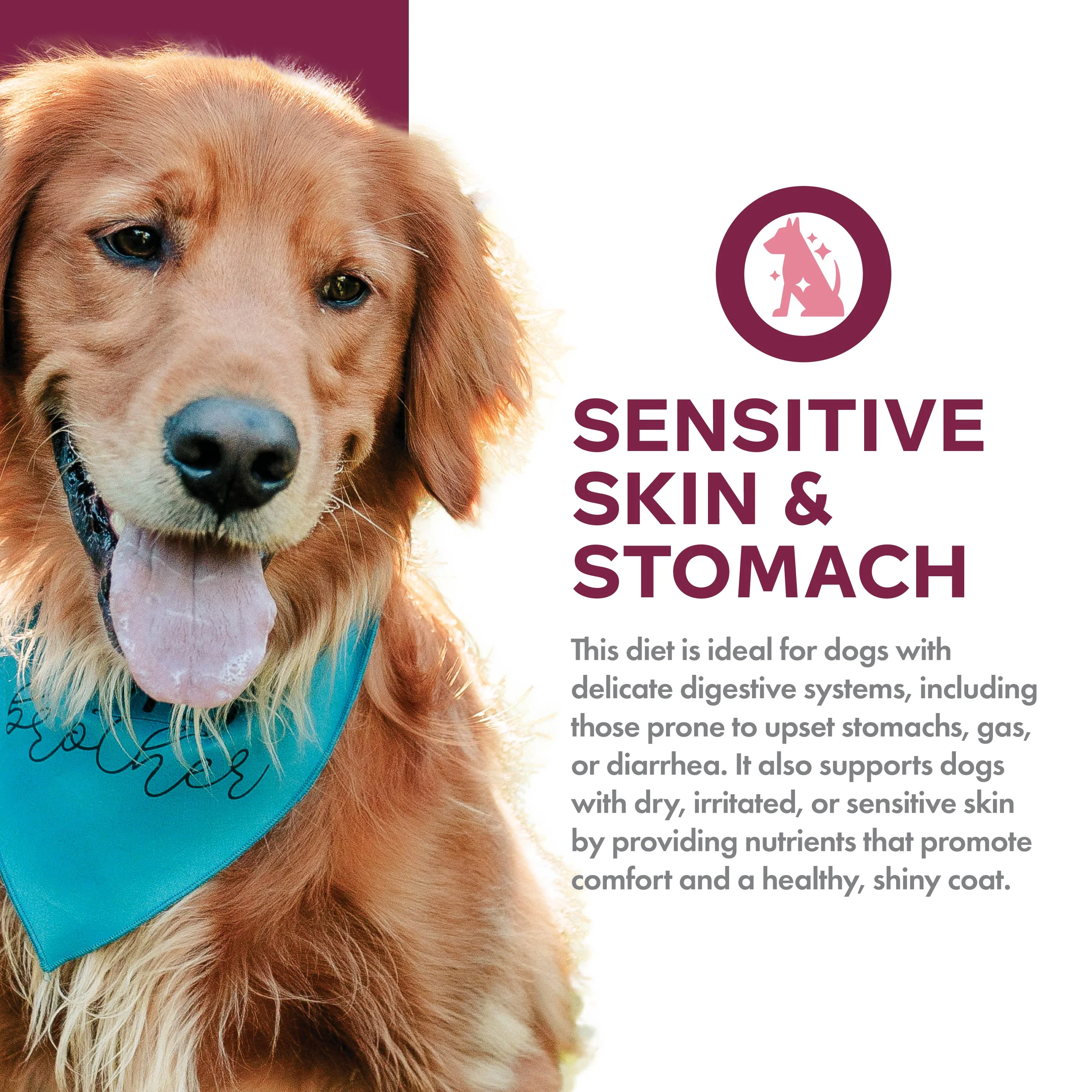 Fromm Nutritionals Sensitive Skin & Stomach Salmon & Whole Oats Dry Dog Food - Image 2