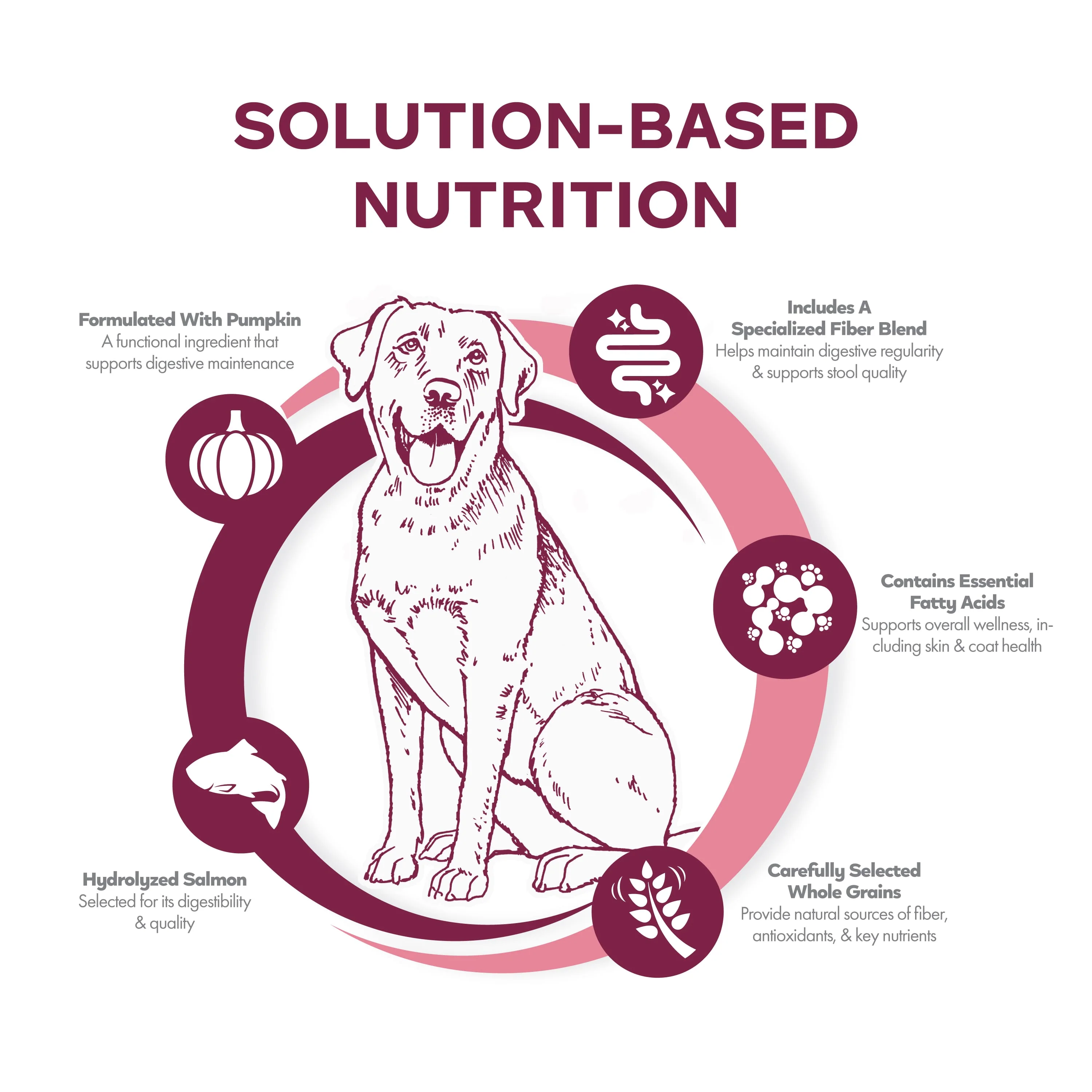 Fromm Nutritionals Sensitive Skin & Stomach Salmon & Whole Oats Dry Dog Food - Image 3