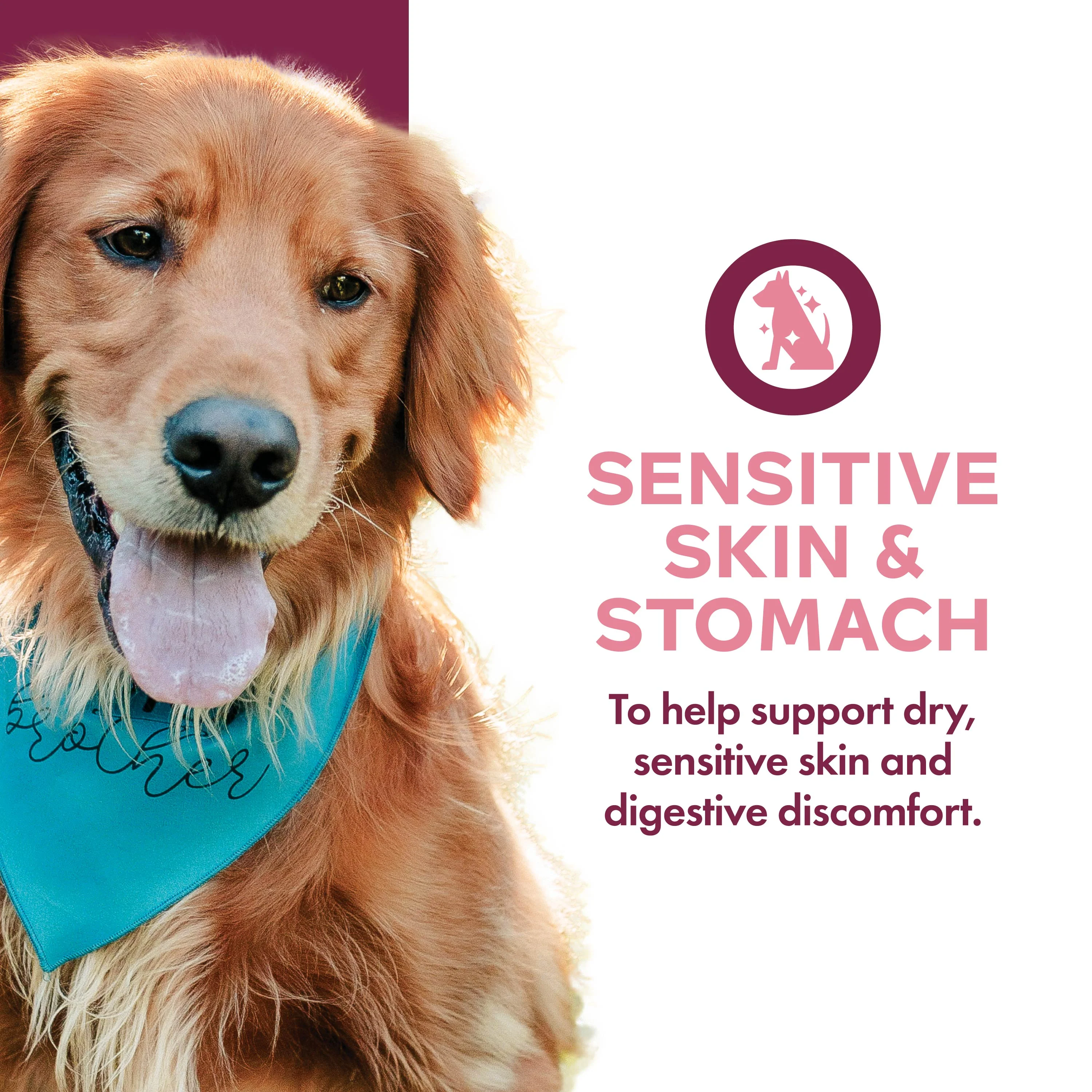 Fromm Nutritionals Sensitive Skin & Stomach Pâté Canned Dog Food - Image 6