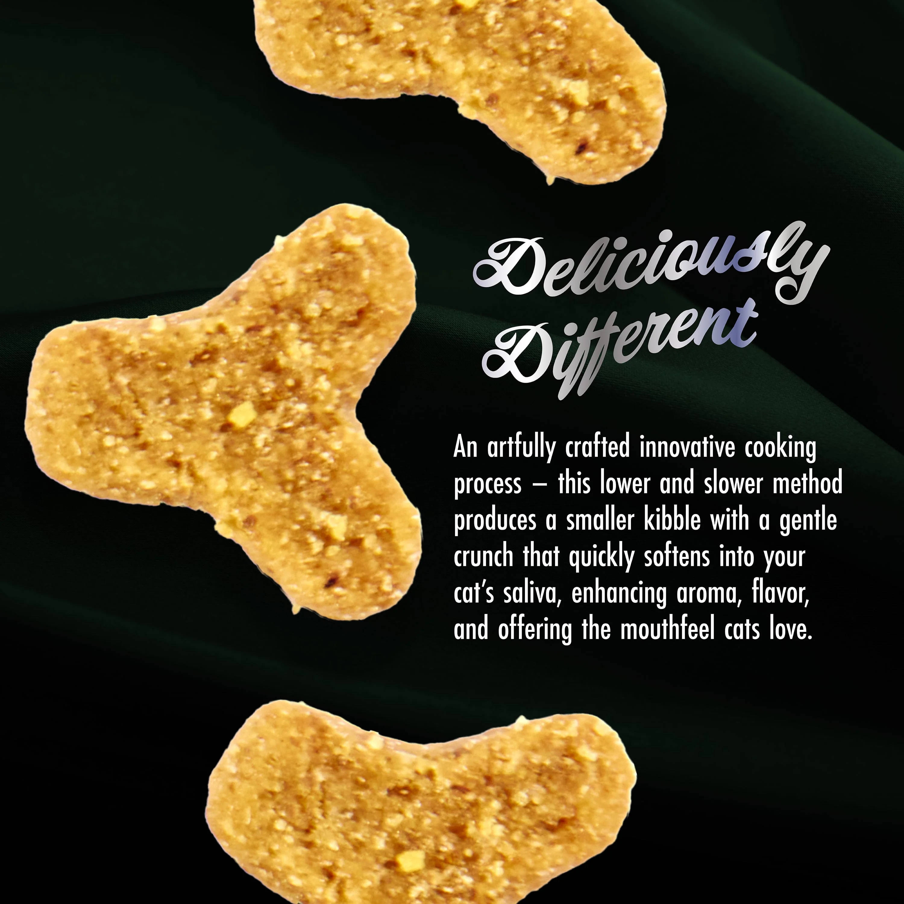 Fromm Purr-Snickitty Salmon Splendour Recipe For Cats - Image 6