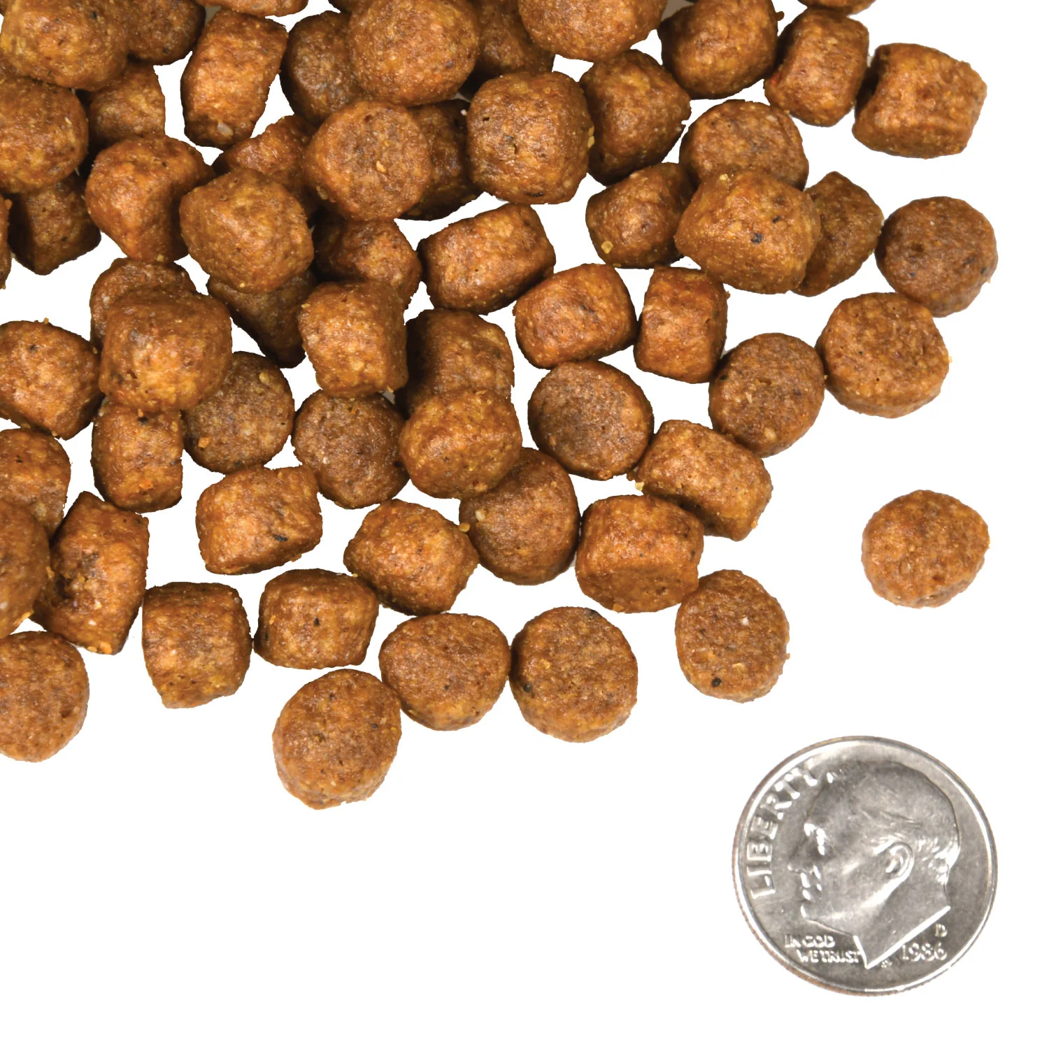 Fromm Four Star Canine Beef Frittata - Image 8