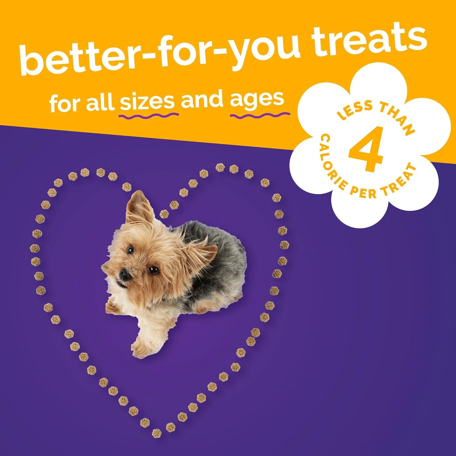 Fruitables Skinny Minis Dog Treats Pumpkin & Mango - Image 6