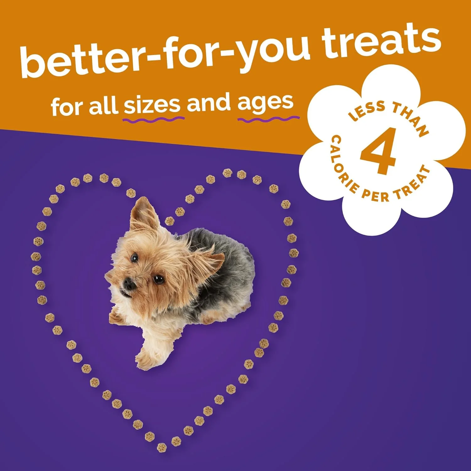 Fruitables Skinny Minis Dog Treats Rotisserie Chicken - Image 5