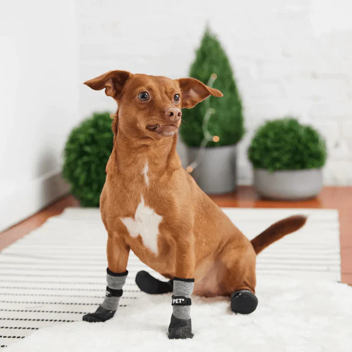 GF Pet Boots For Dogs All Terrain Black - Image 5