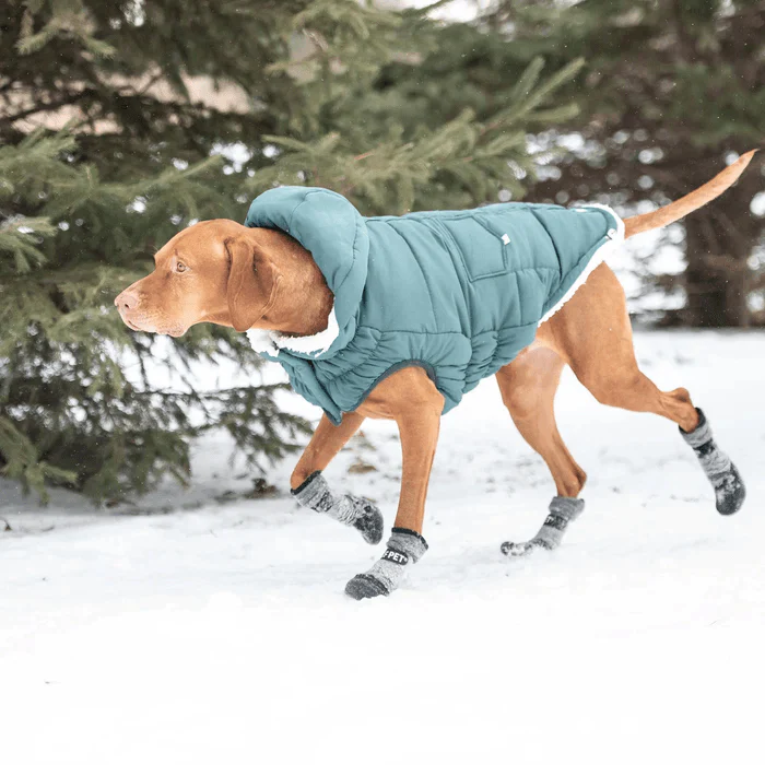 GF Pet Boots For Dogs All Terrain Black - Image 7