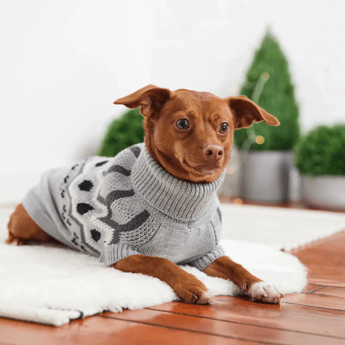 GF Pet Heritage Sweater Grey For Dogs - Image 4
