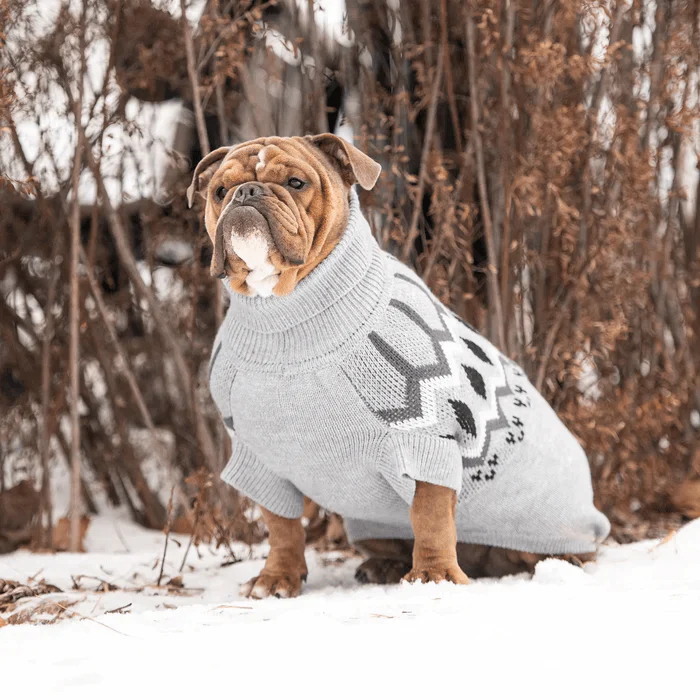 GF Pet Heritage Sweater Grey For Dogs - Image 5