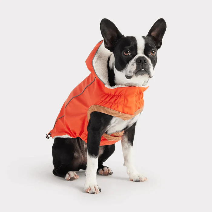 GF Pet Insulated Raincoat Orange For Dogs - Image 2