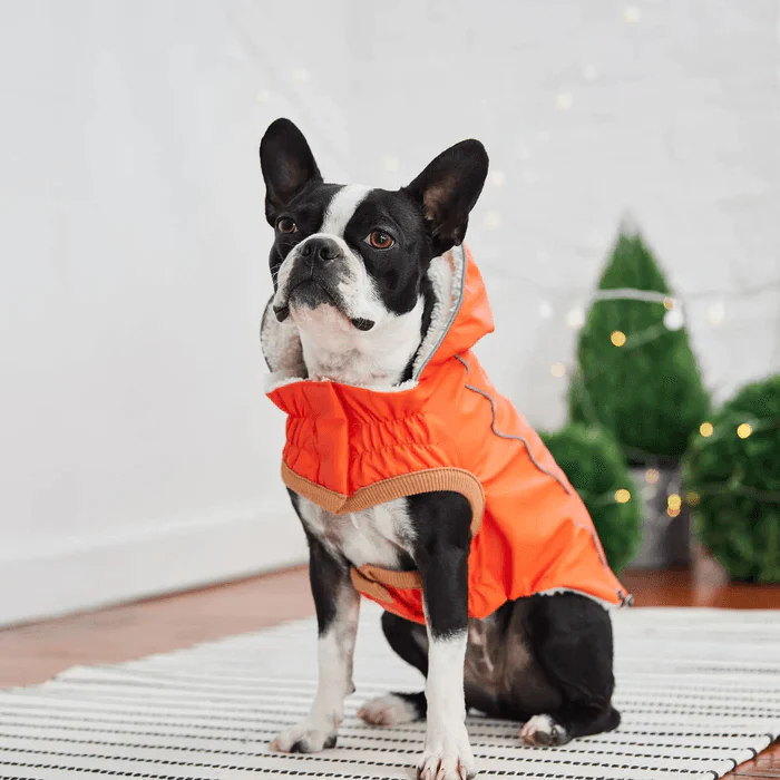 GF Pet Insulated Raincoat Orange For Dogs - Image 4
