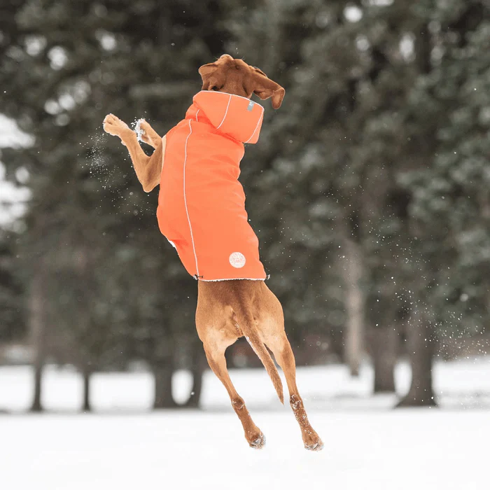 GF Pet Insulated Raincoat Orange For Dogs - Image 5