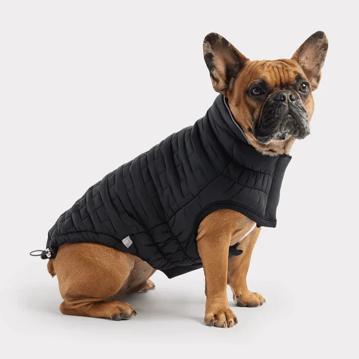 GF Pet Reversible Chalet Jacket Black For Dogs - Image 2