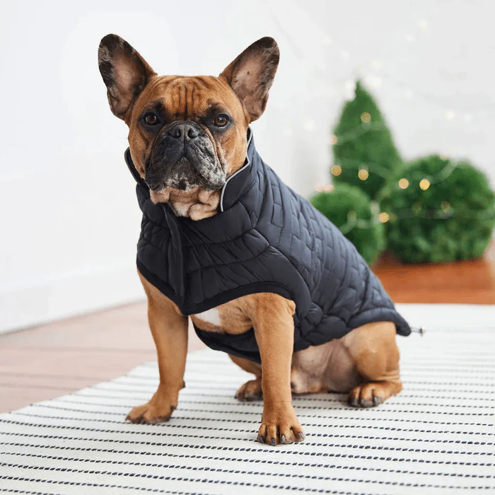 GF Pet Reversible Chalet Jacket Black For Dogs - Image 4