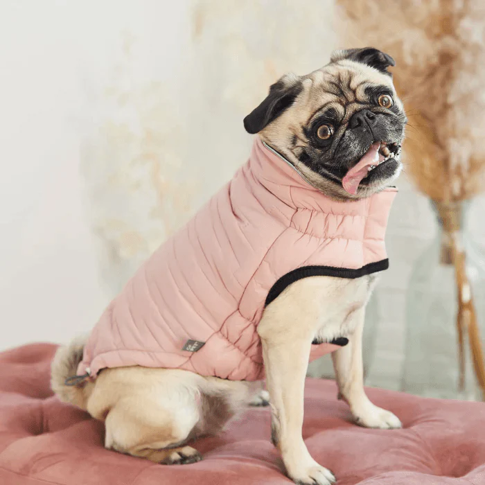 GF Pet Reversible Chalet Jacket Pink For Dogs - Image 3