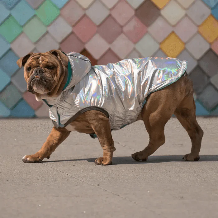 GF Pet Reversible Raincoat Neon Aqua For Dogs - Image 2