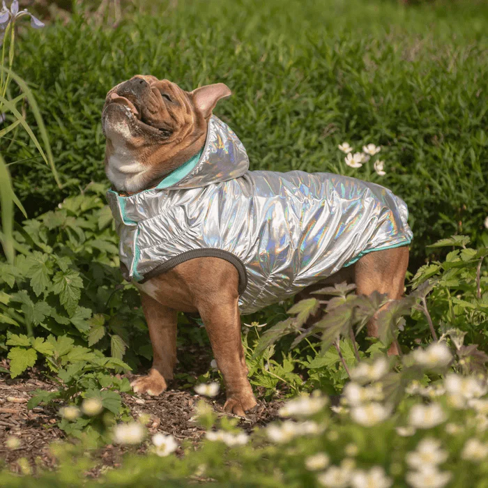 GF Pet Reversible Raincoat Neon Aqua For Dogs - Image 7