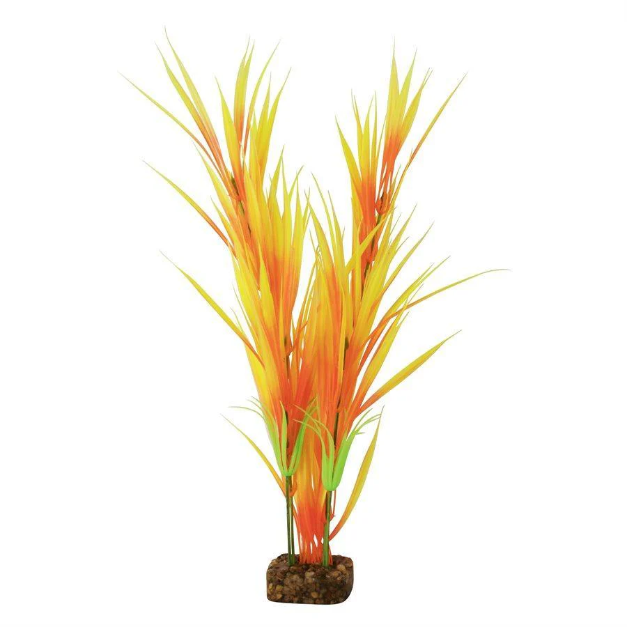 GloFish Plant Large Orange Yellow