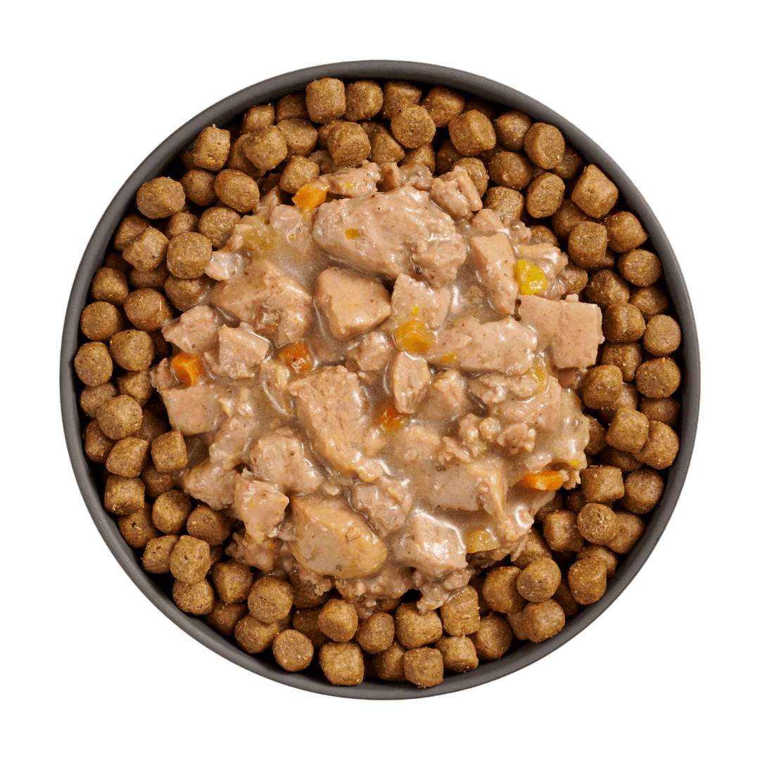 Go! Booster Digestive Health Minced Chicken + Duck with gravy for cats - Image 3