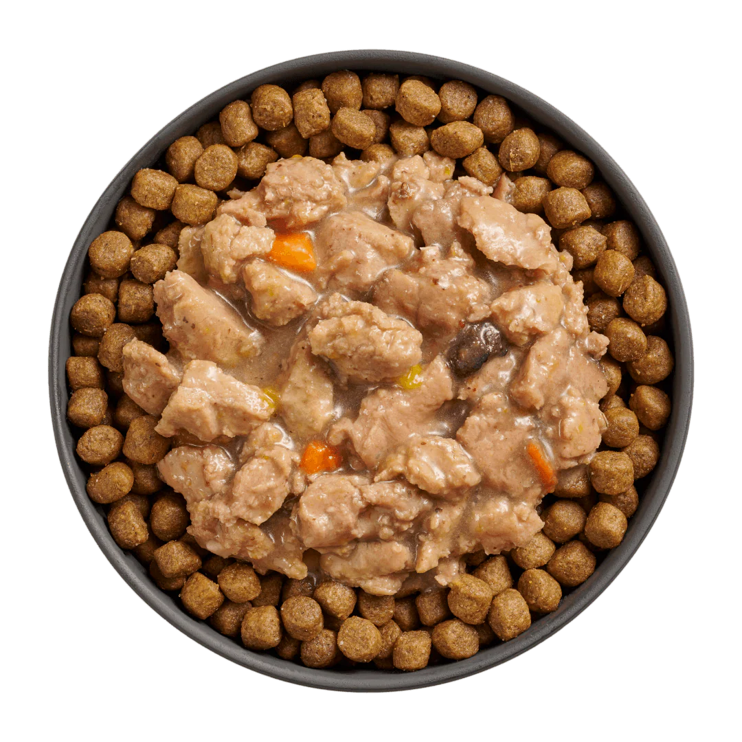 Go! Booster Immune Health Minced Chicken + Salmon with gravy for cats - Image 3