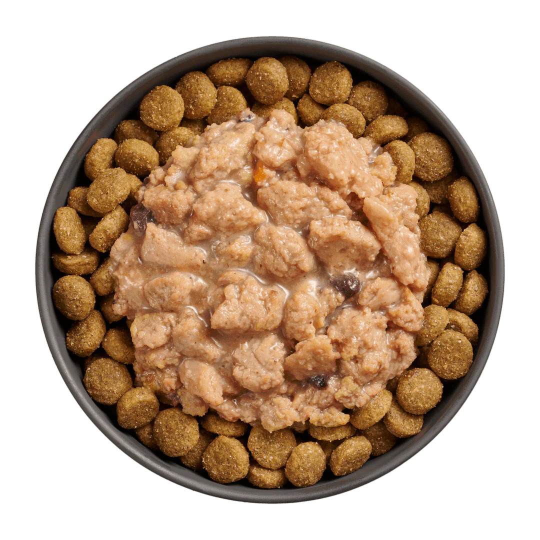 Go! Booster Immune Health Minced Chicken with gravy for dogs - Image 3
