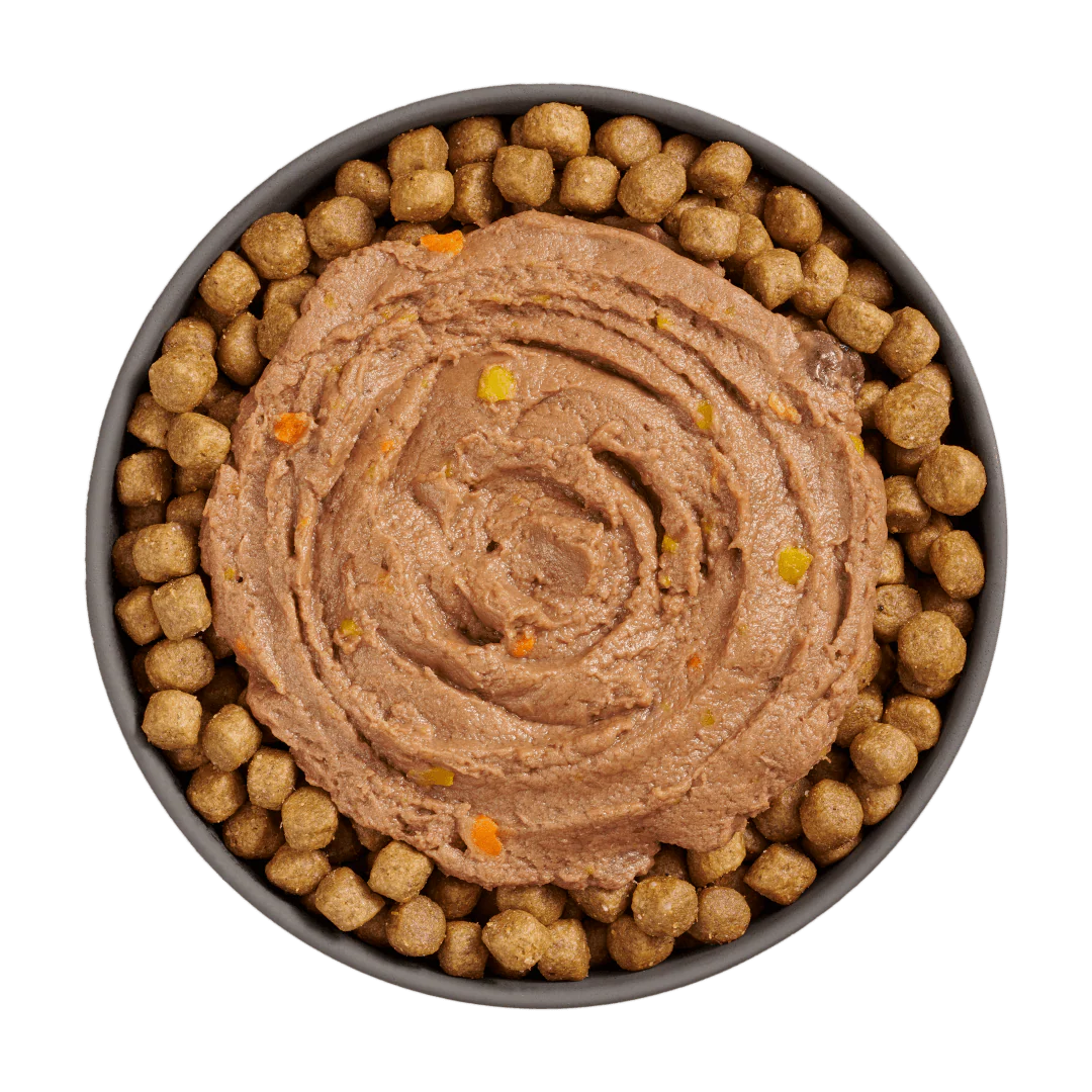 Go! Booster Immune Health Tuna Pâté for cats - Image 3