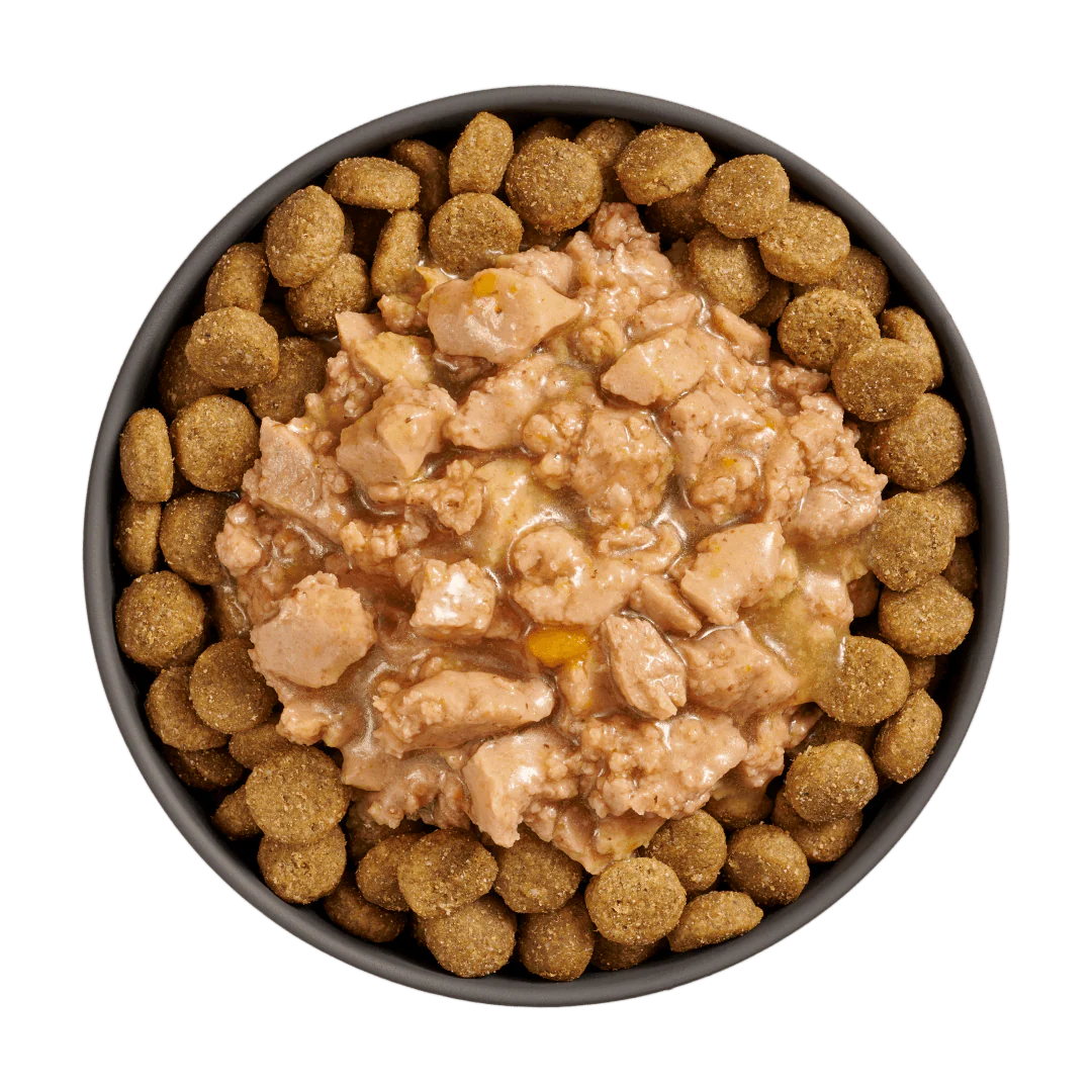Go! Booster Joint Care Minced Chicken with gravy for dogs - Image 3